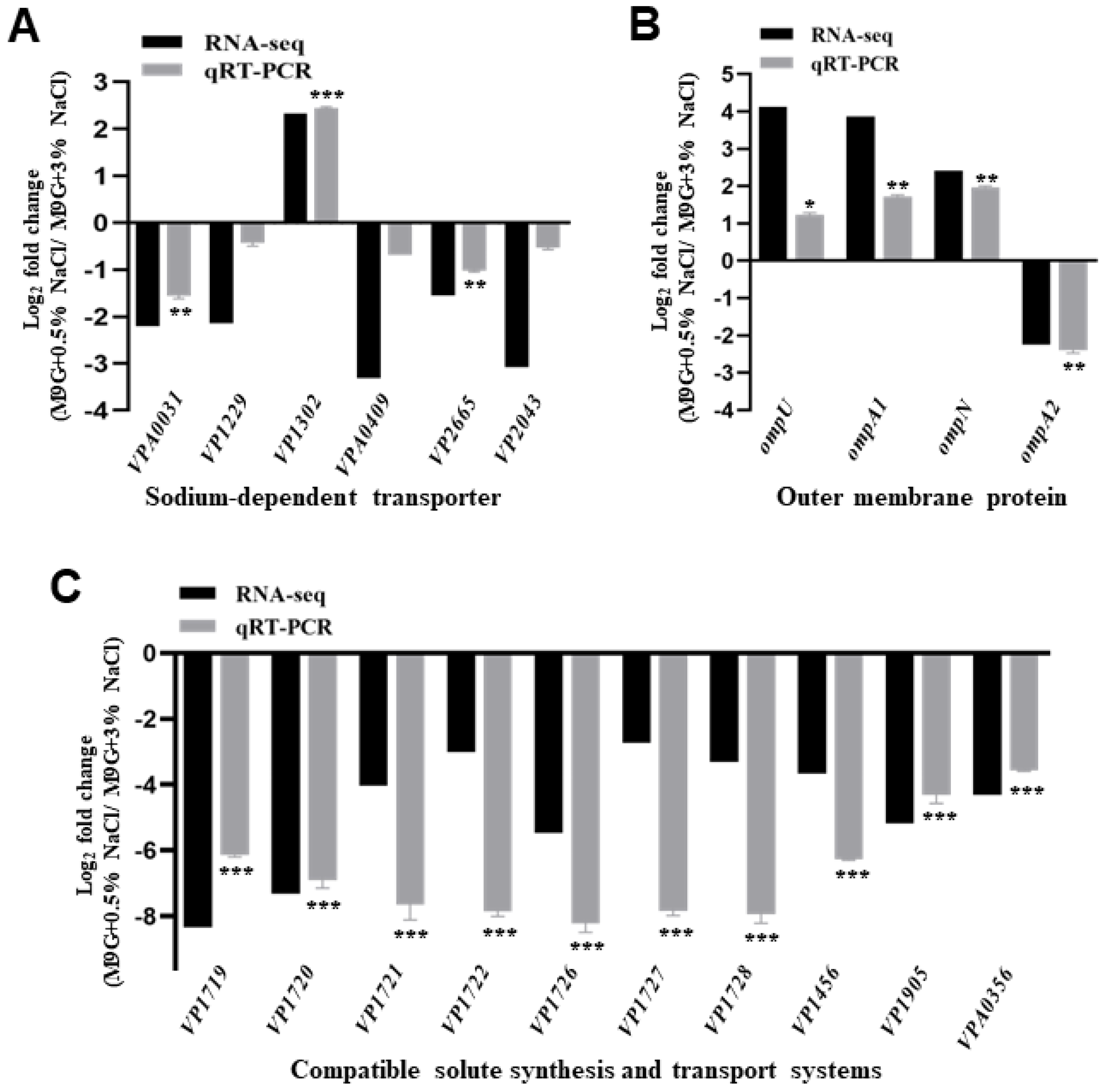 Ijms 24 02621 g003 Ijms 24 02621 g003