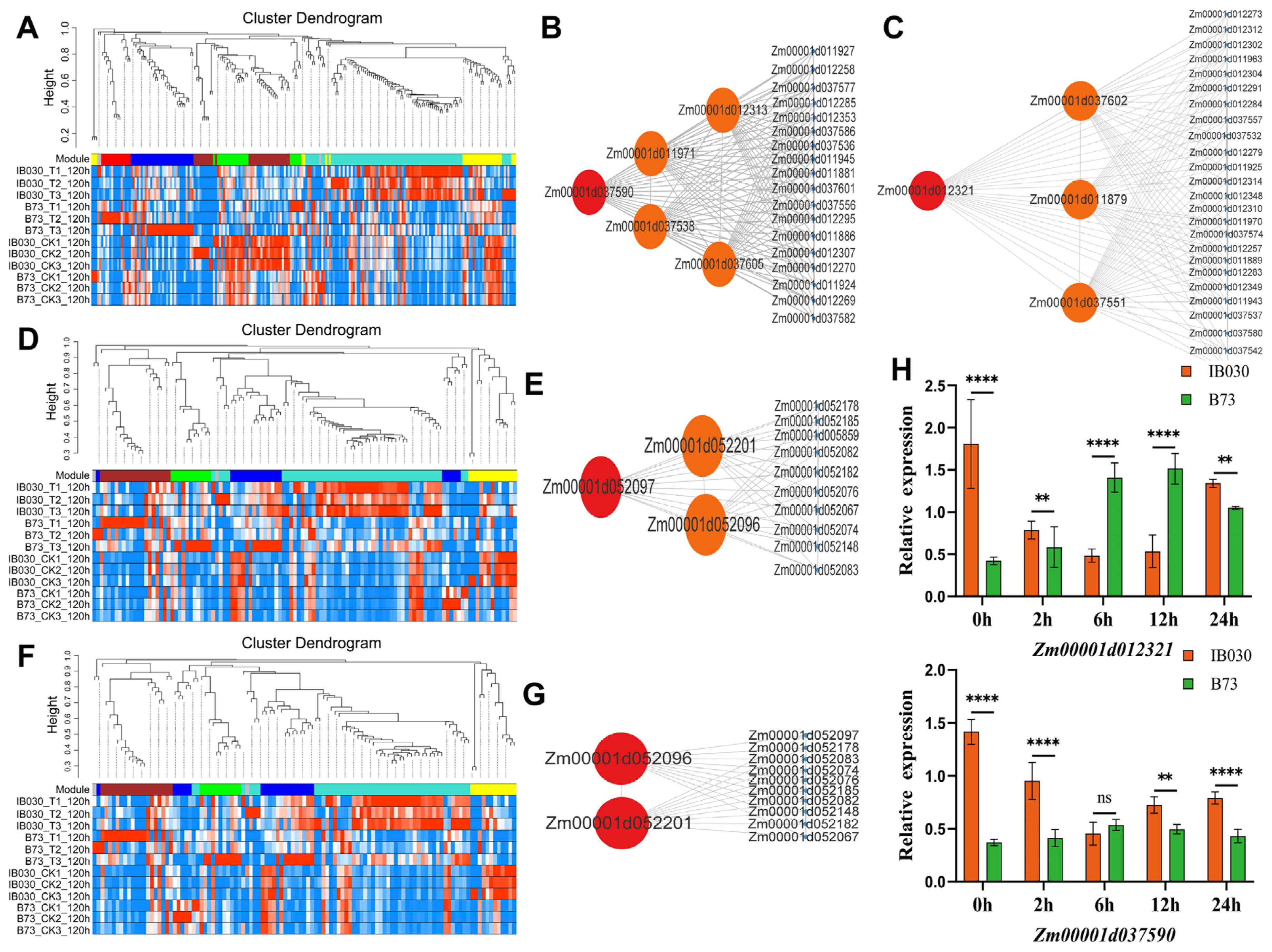 Ijms 24 02629 g005 Ijms 24 02629 g005
