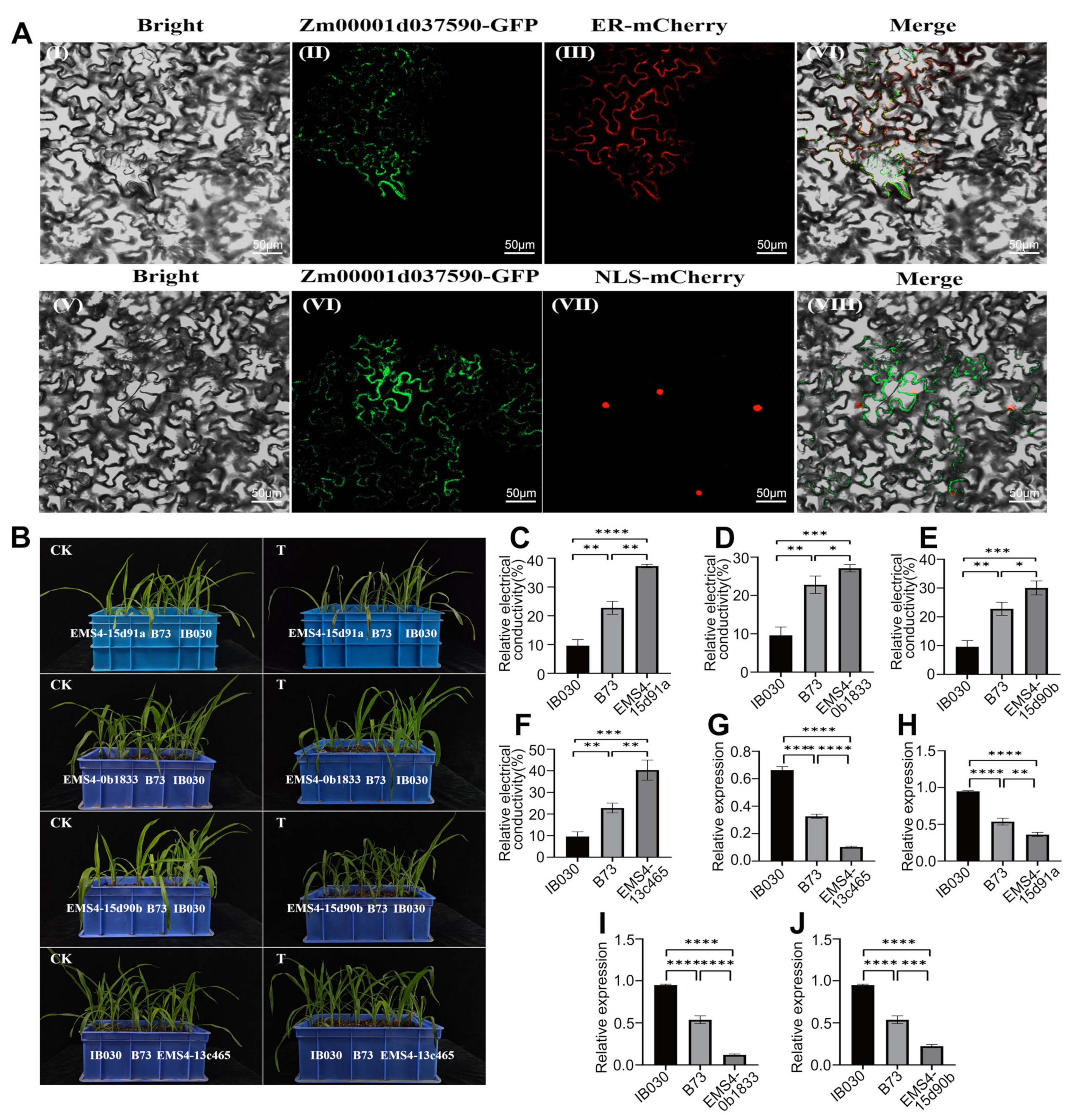 Ijms 24 02629 g006 Ijms 24 02629 g006