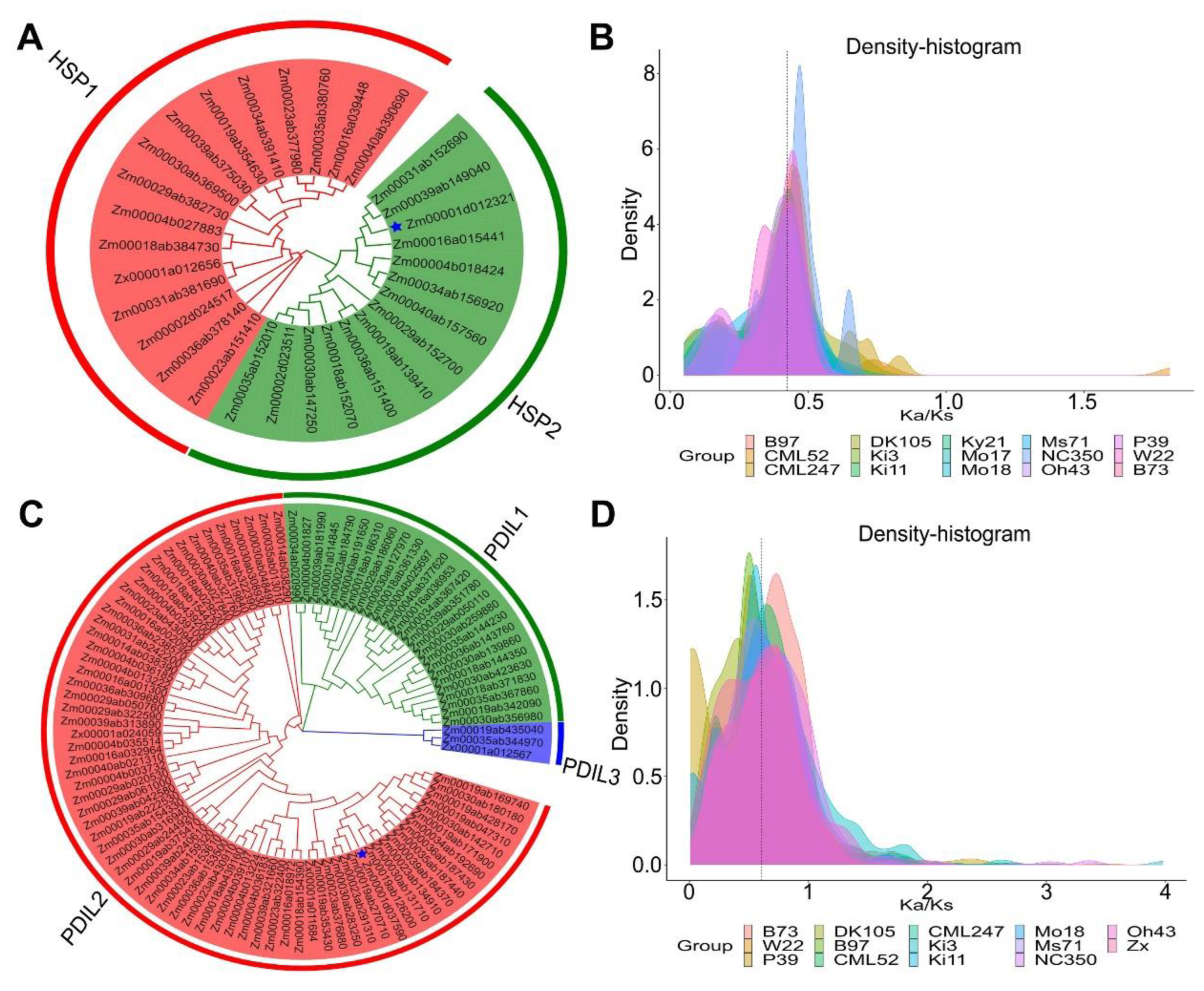 Ijms 24 02629 g007 Ijms 24 02629 g007