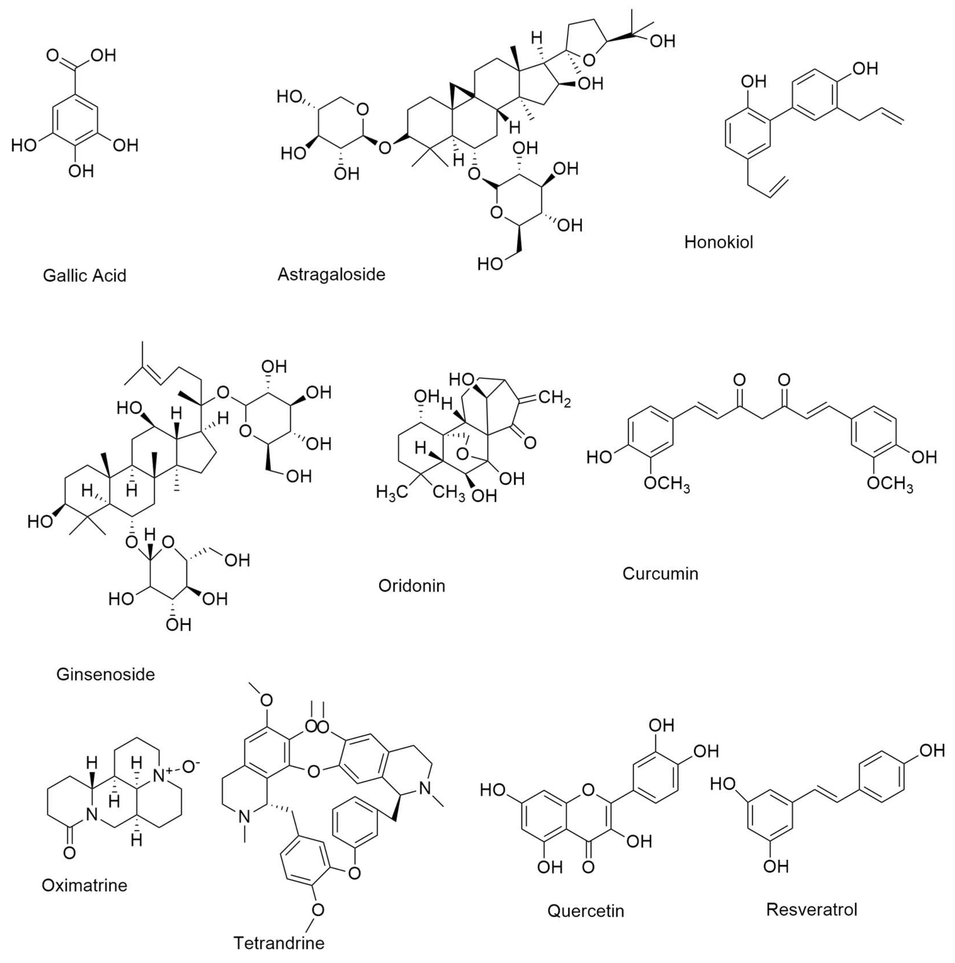 IJMS | Free Full-Text | Small Molecule EGFR Inhibitors as Anti-Cancer ...