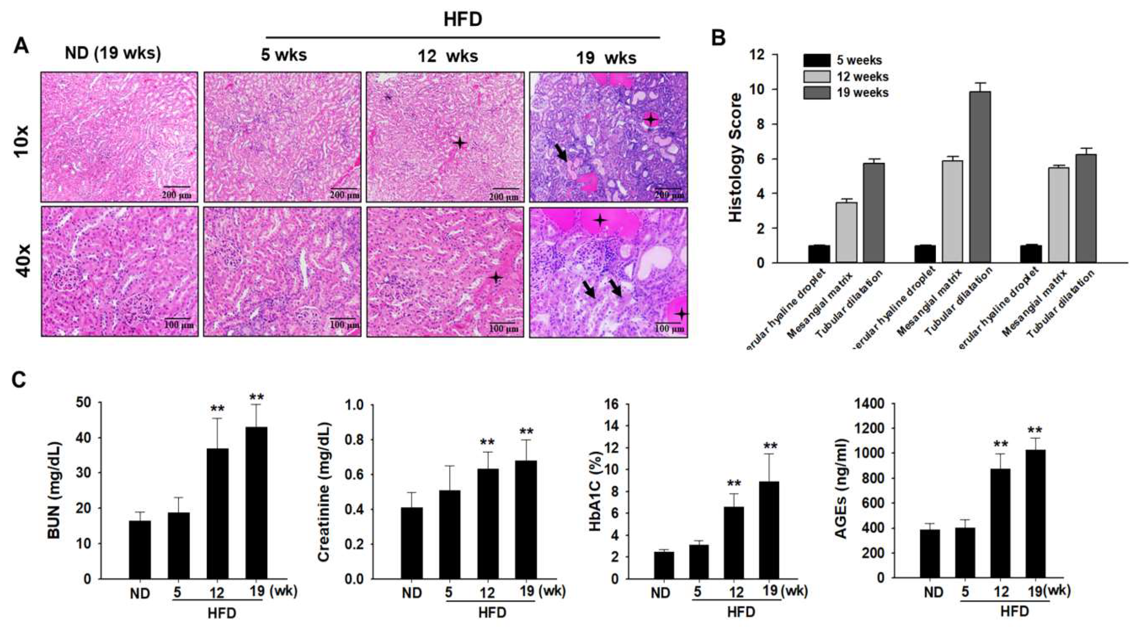 Ijms 24 02683 g002 Ijms 24 02683 g002