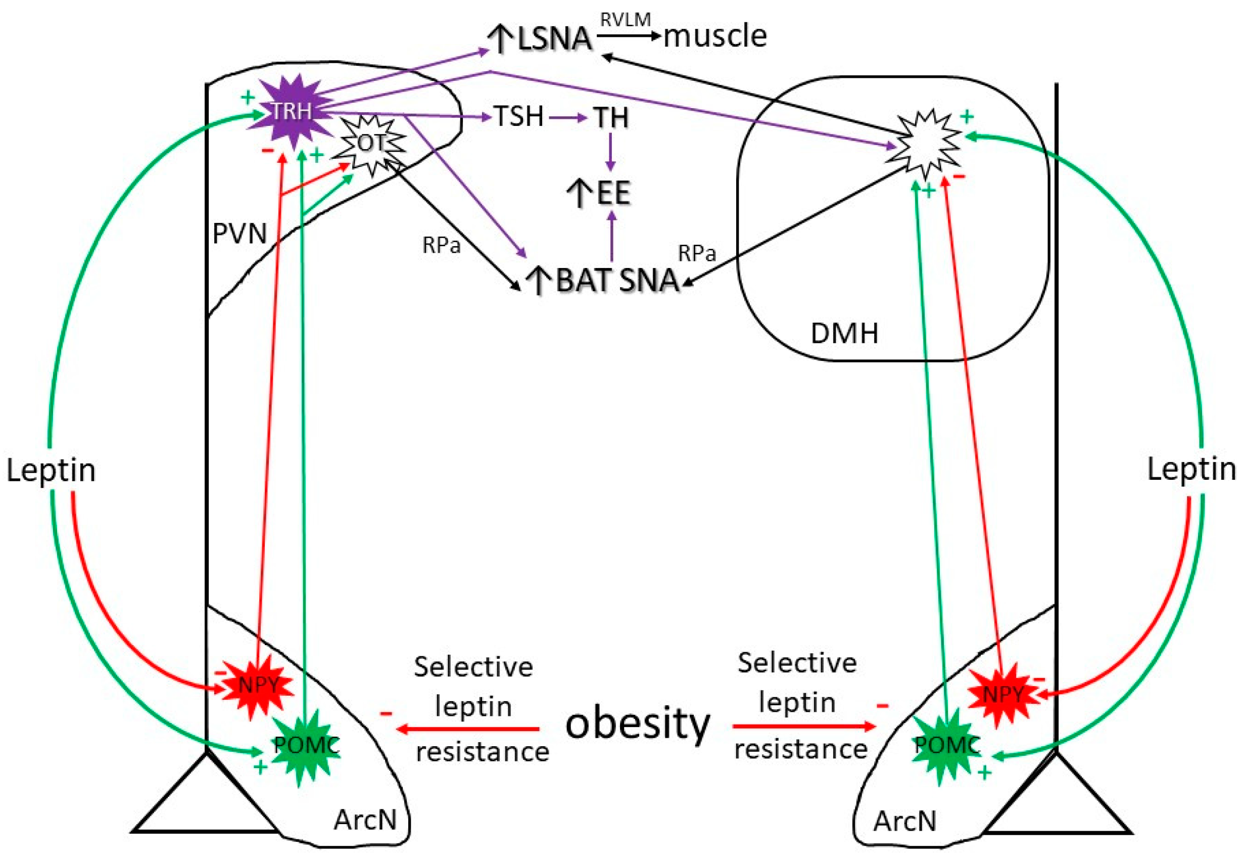 Figure 2 from Positive Effect of HPA Lanolin versus Expressed