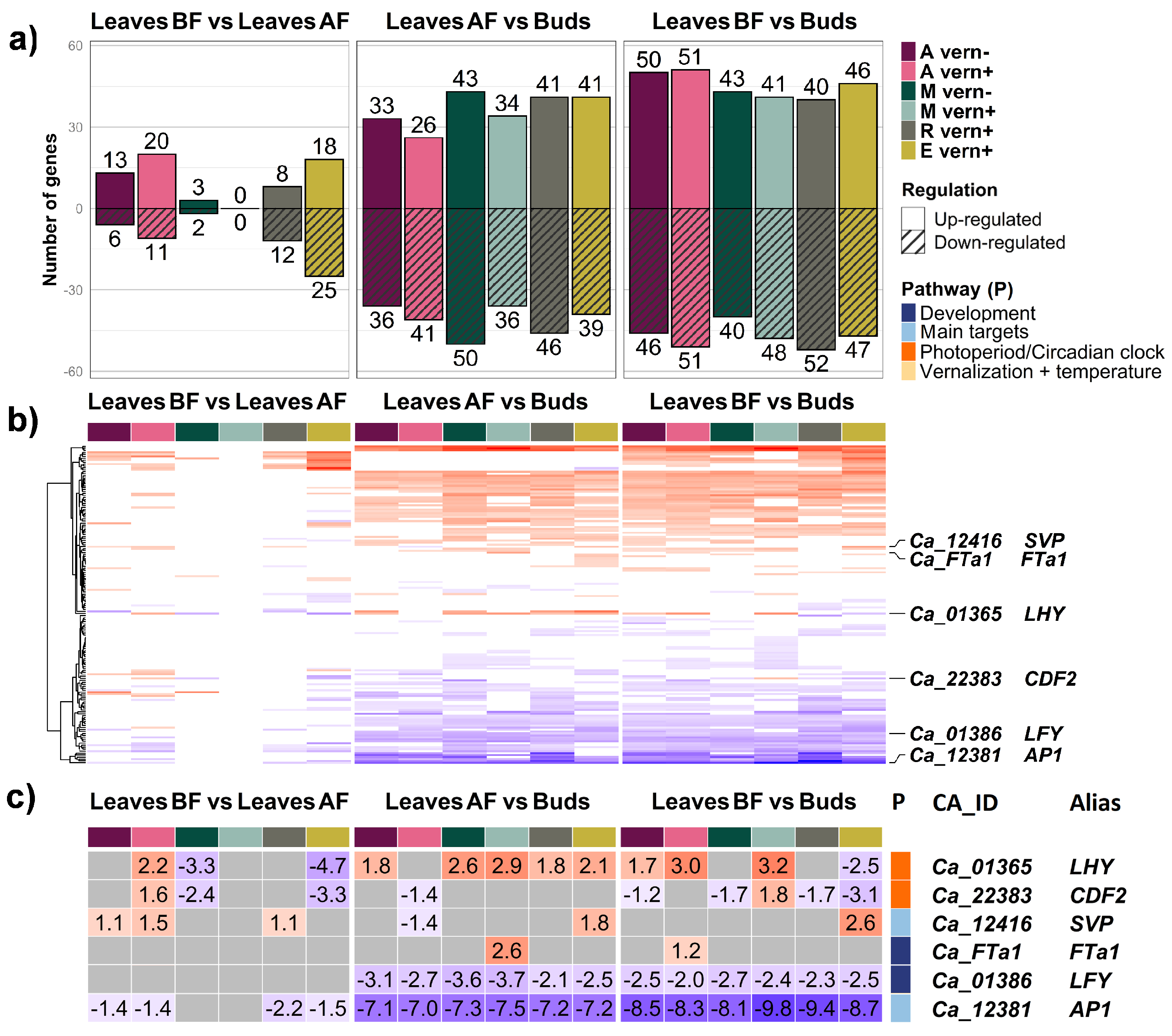 Ijms 24 02692 g002 Ijms 24 02692 g002