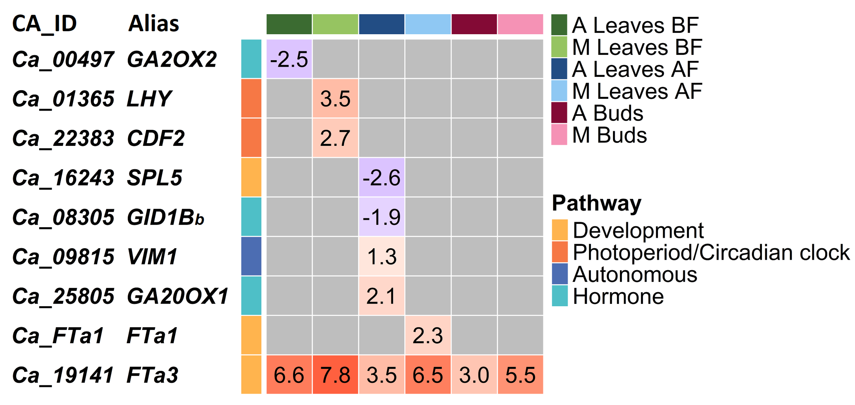 Ijms 24 02692 g003 Ijms 24 02692 g003