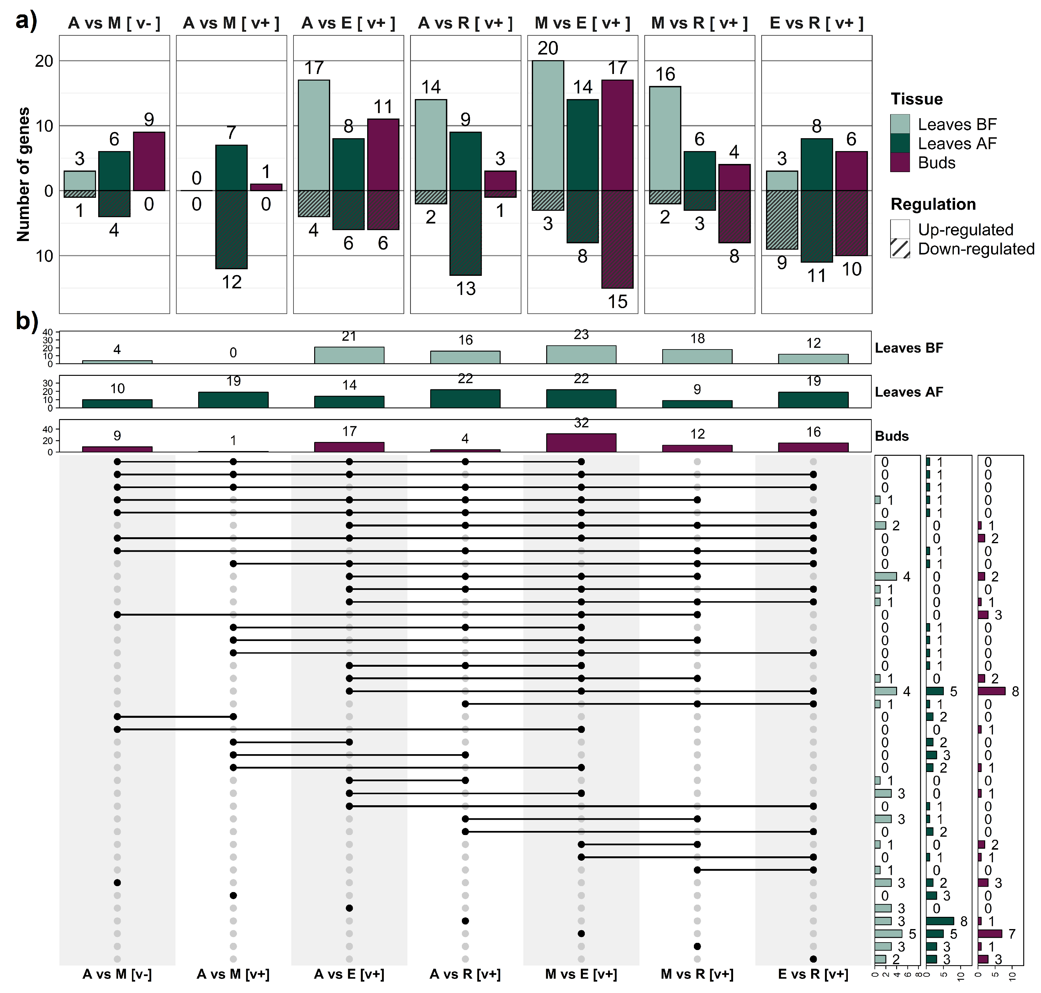 Ijms 24 02692 g004 Ijms 24 02692 g004