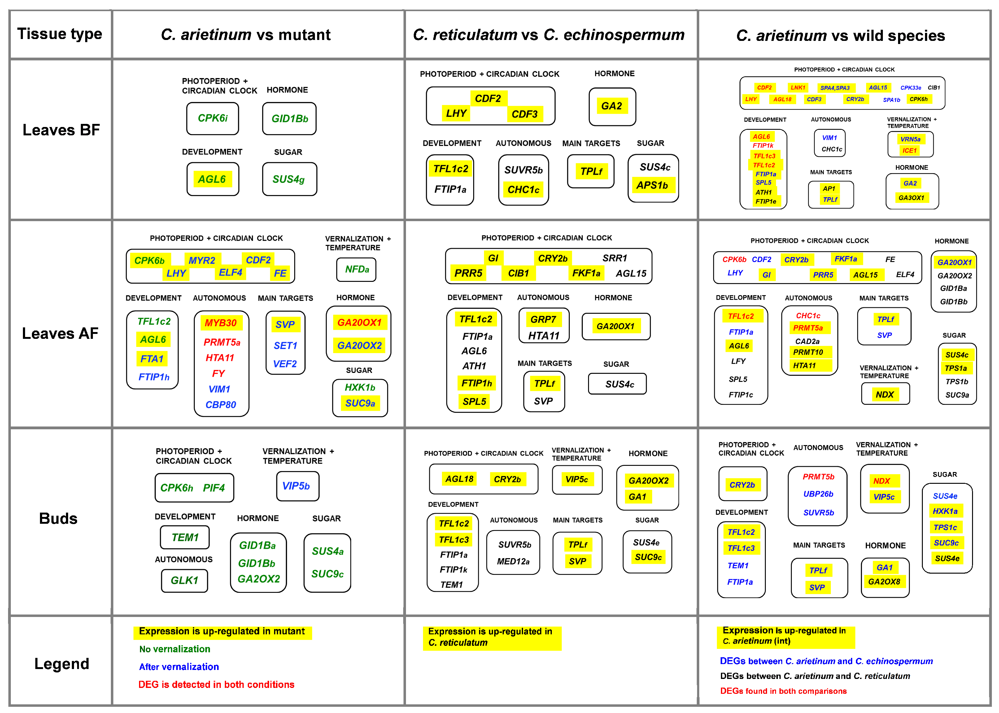 Ijms 24 02692 g005 Ijms 24 02692 g005