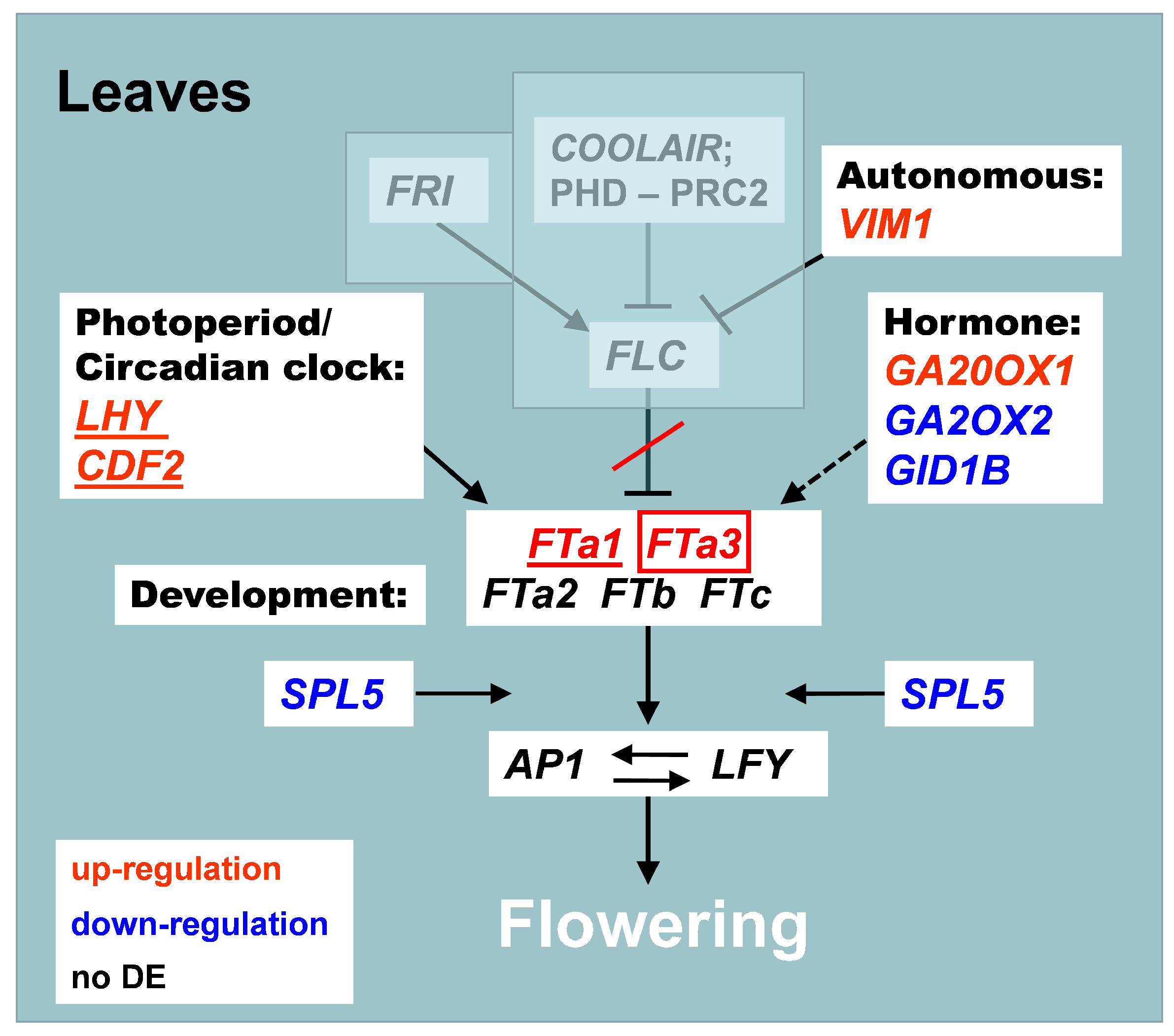 Ijms 24 02692 g006 Ijms 24 02692 g006
