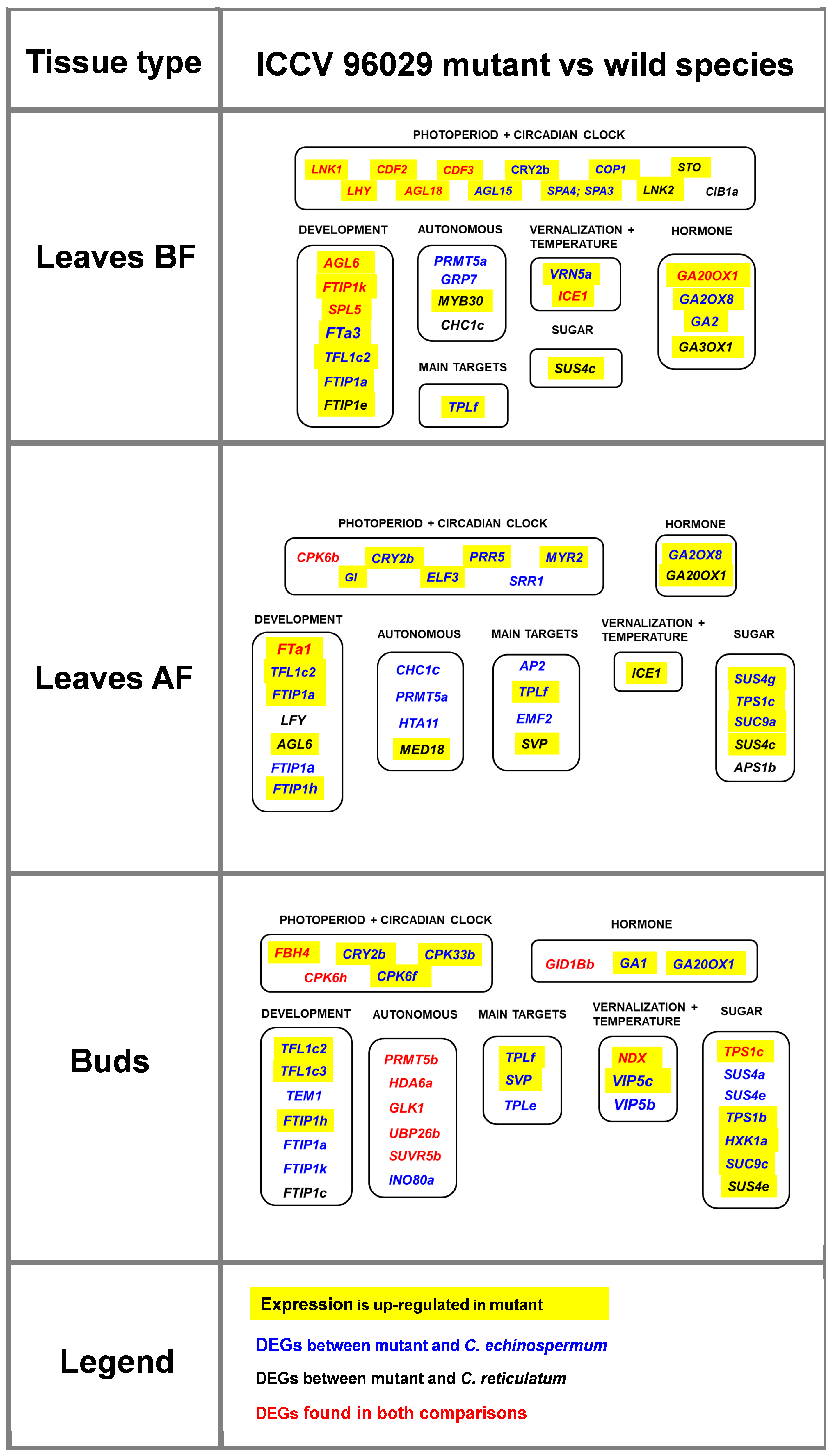 Ijms 24 02692 g0a1 Ijms 24 02692 g0a1