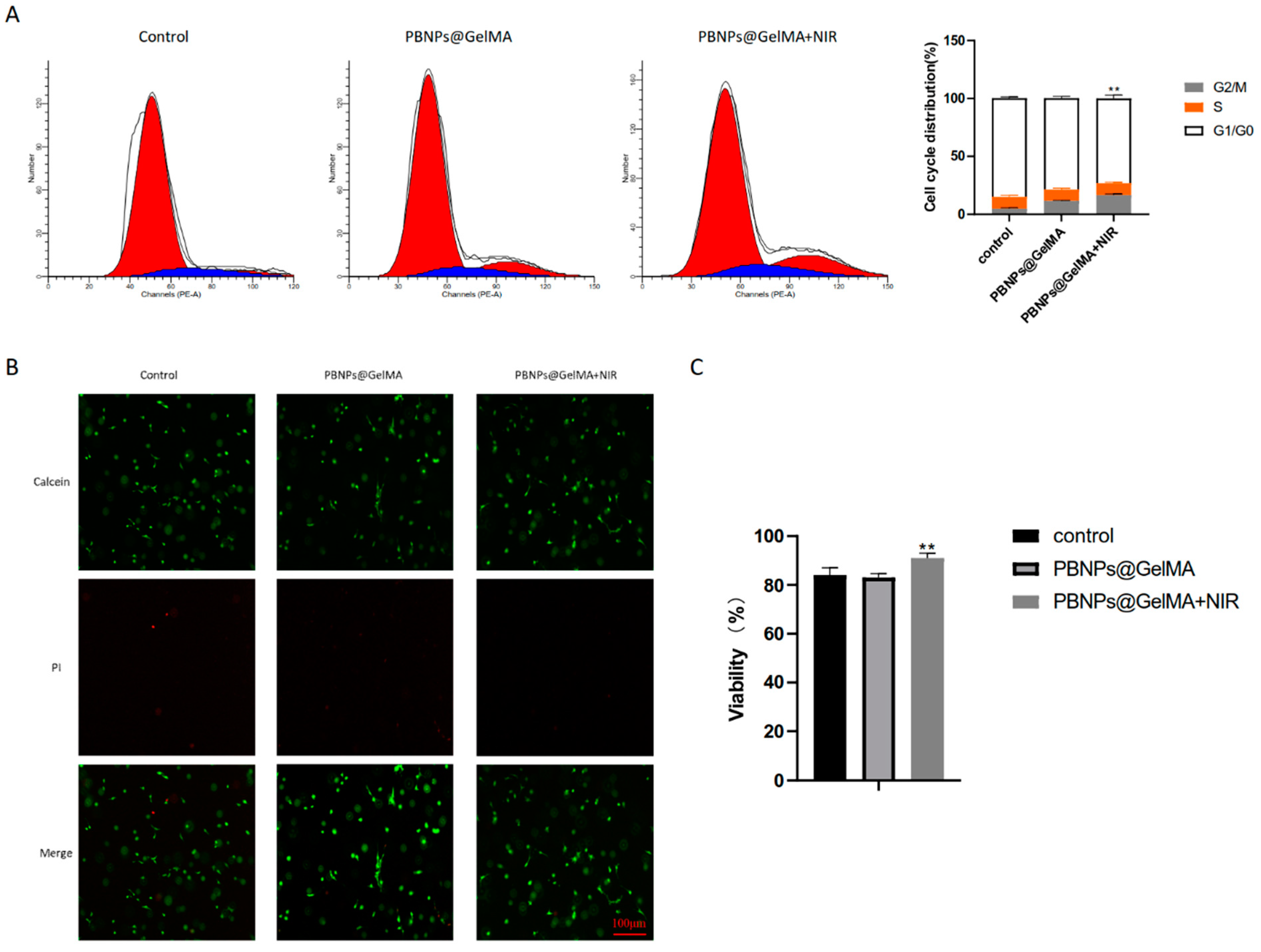 Ijms 24 02704 g002 Ijms 24 02704 g002