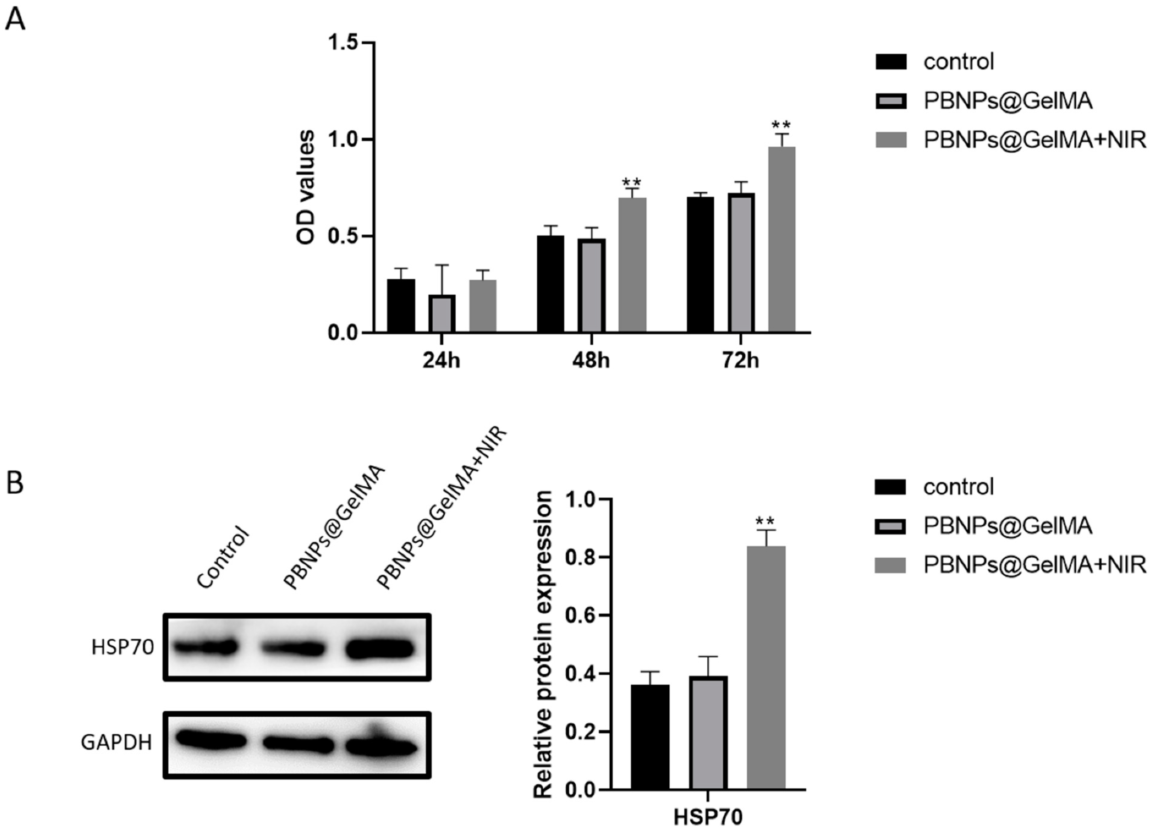 Ijms 24 02704 g003 Ijms 24 02704 g003