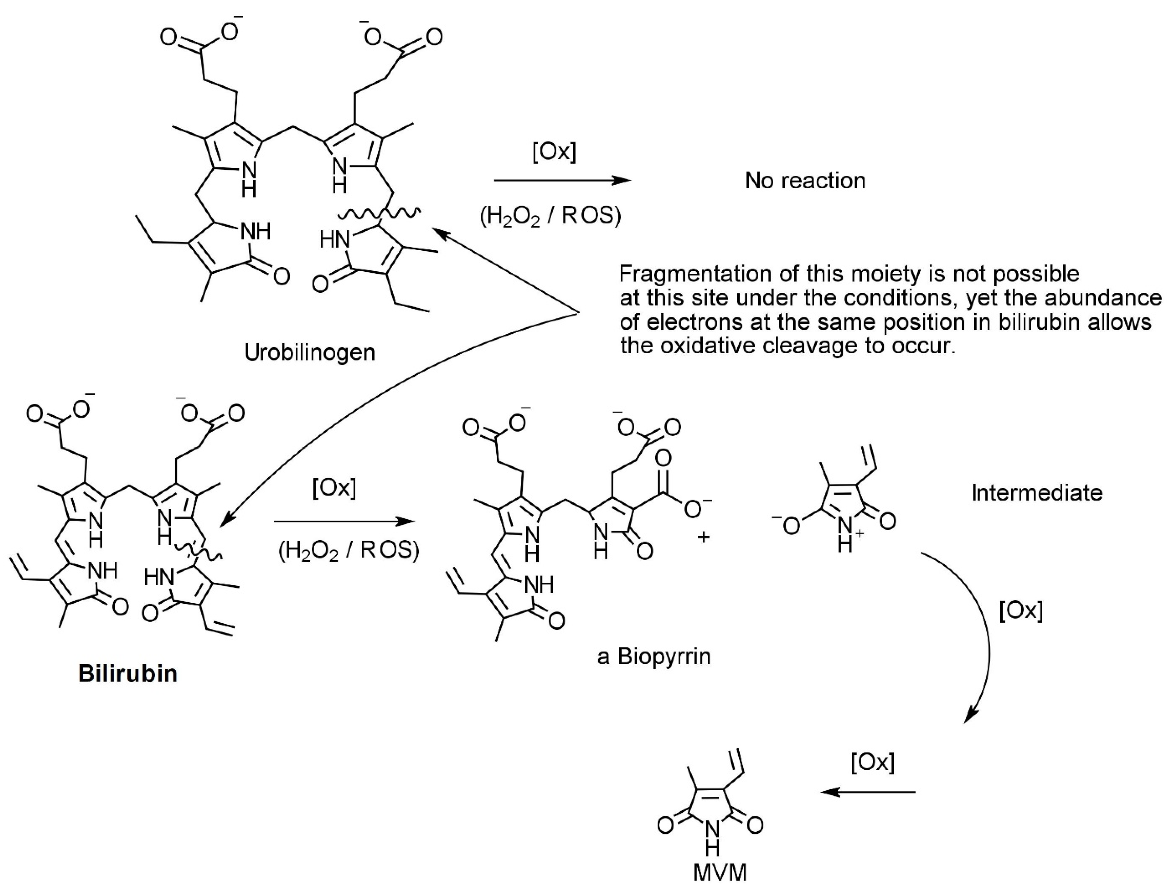 Ijms 24 02712 g002 Ijms 24 02712 g002