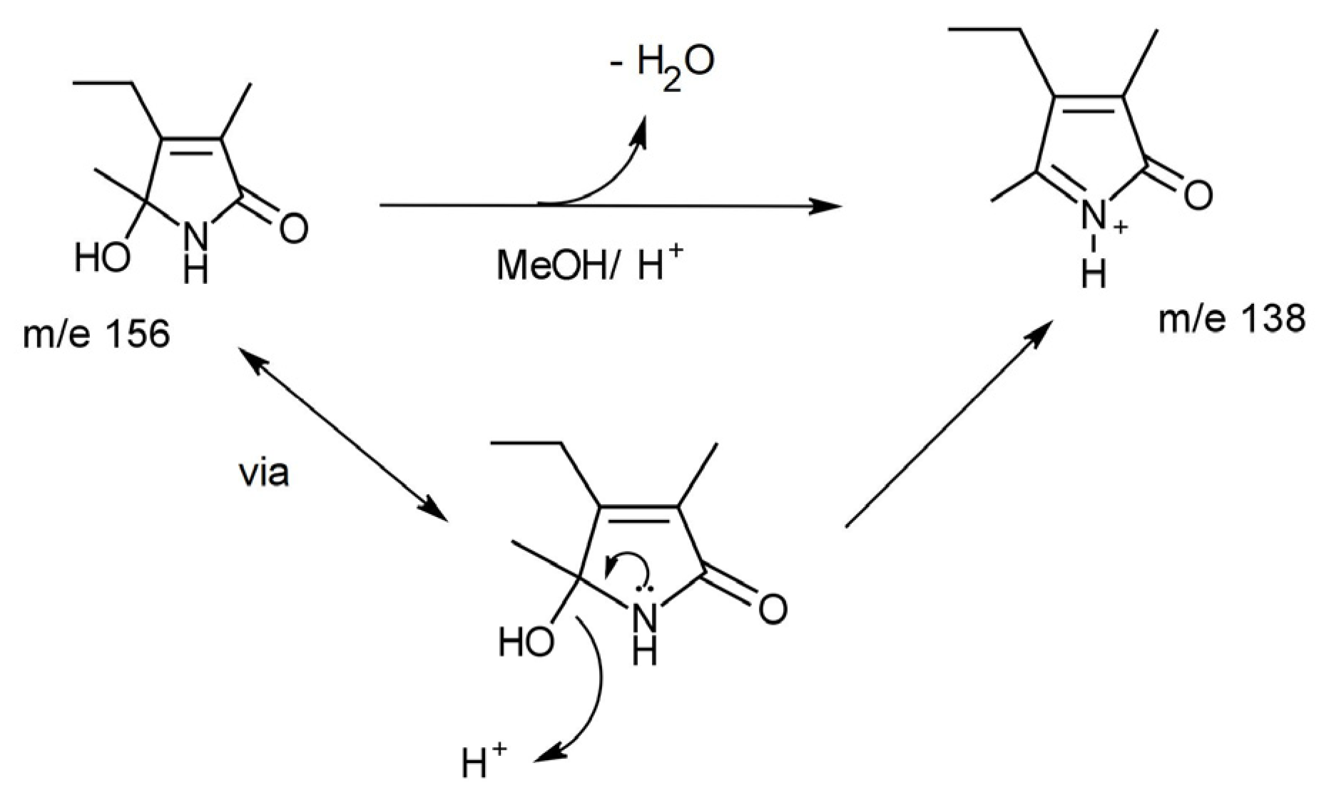 Ijms 24 02712 g003 Ijms 24 02712 g003