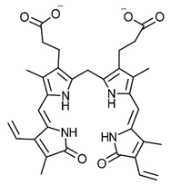 Ijms 24 02712 i005 Ijms 24 02712 i005