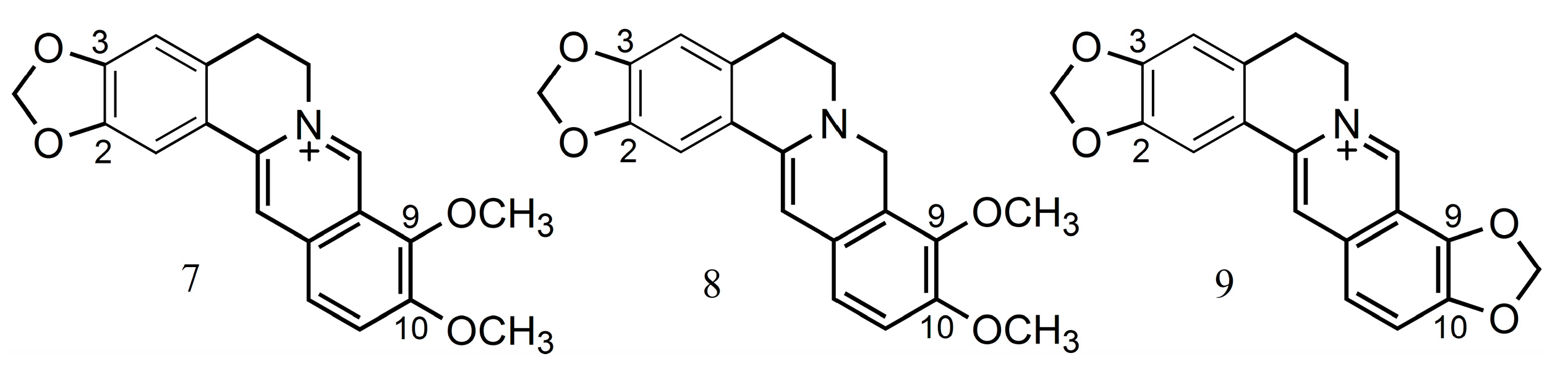 Ijms 24 02722 g003 Ijms 24 02722 g003