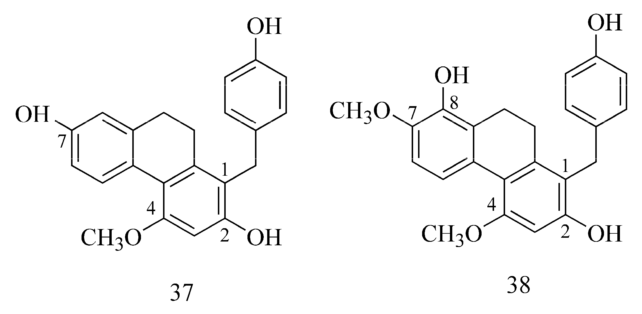 Ijms 24 02722 g013 Ijms 24 02722 g013