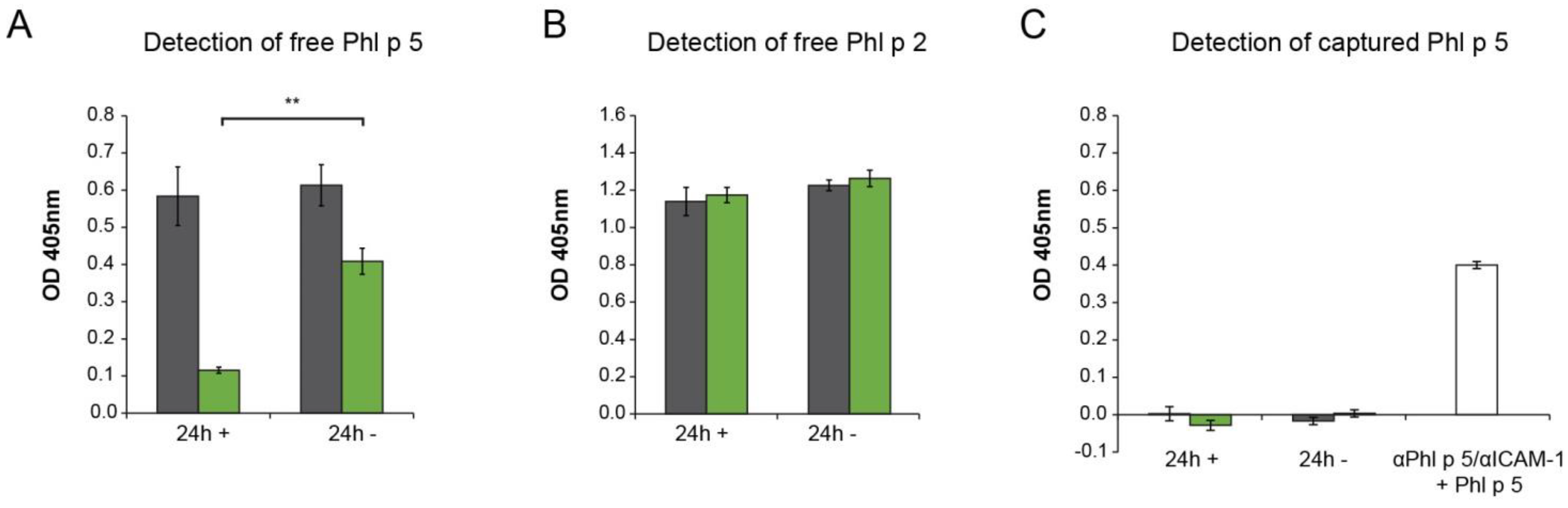 Ijms 24 02725 g004 Ijms 24 02725 g004