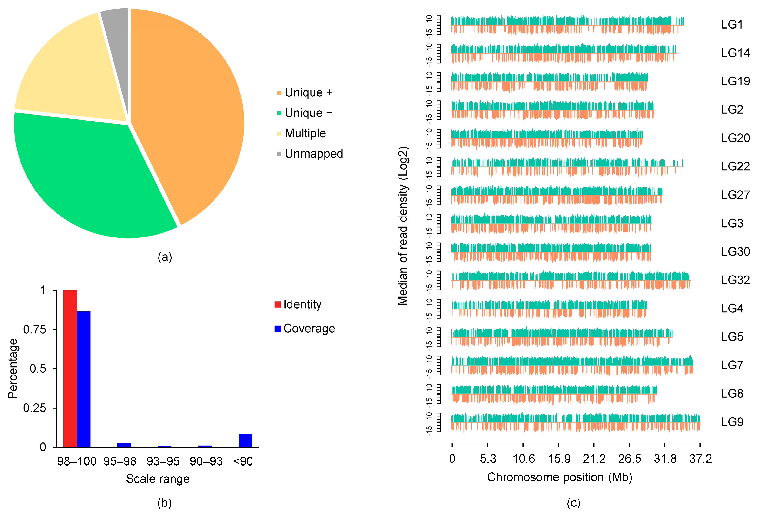 Ijms 24 02735 g001 Ijms 24 02735 g001