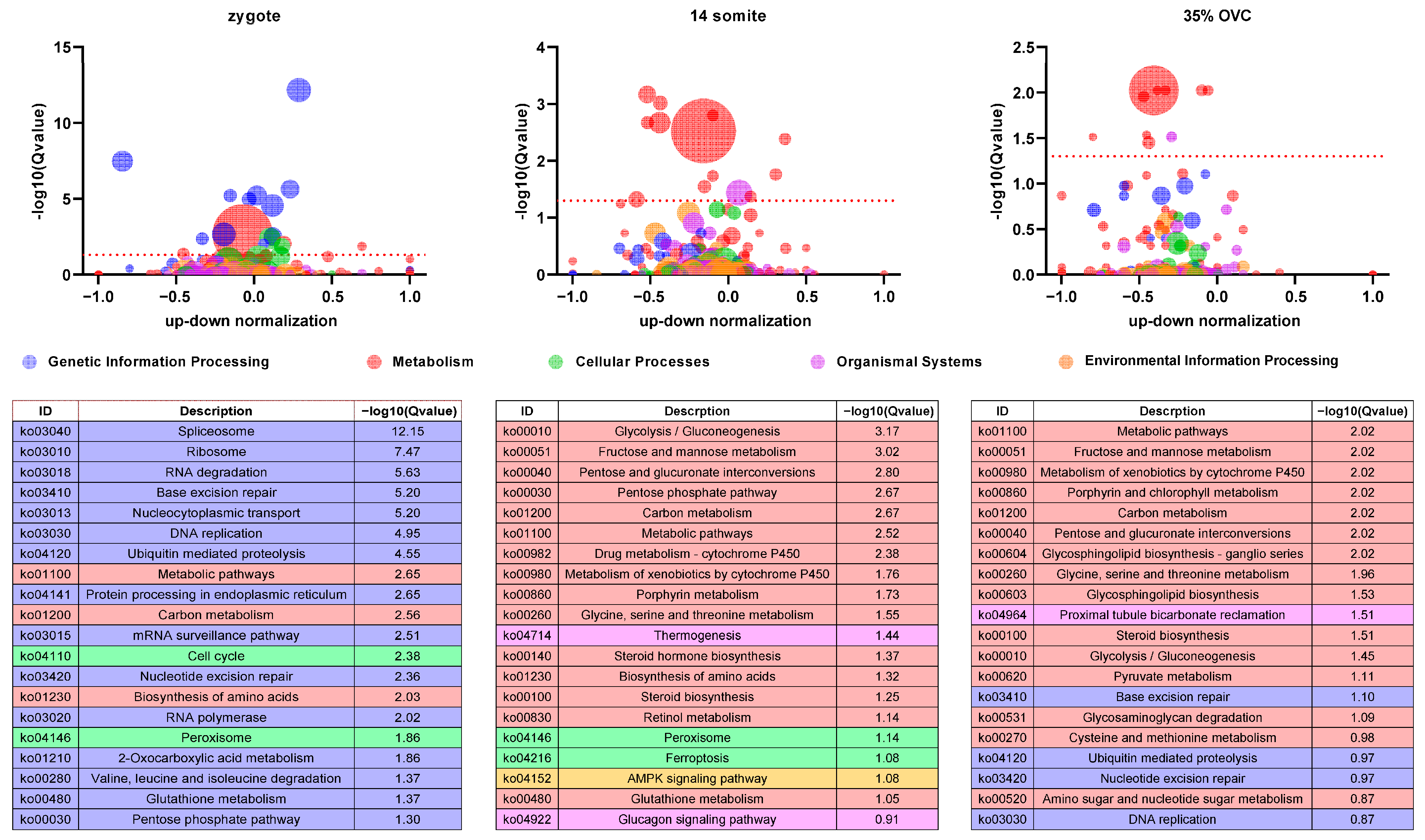 Ijms 24 02735 g009 Ijms 24 02735 g009