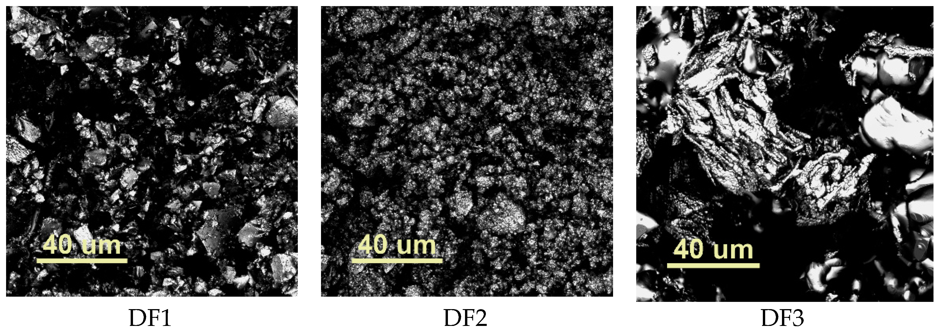 Ijms 24 02752 g004 Ijms 24 02752 g004