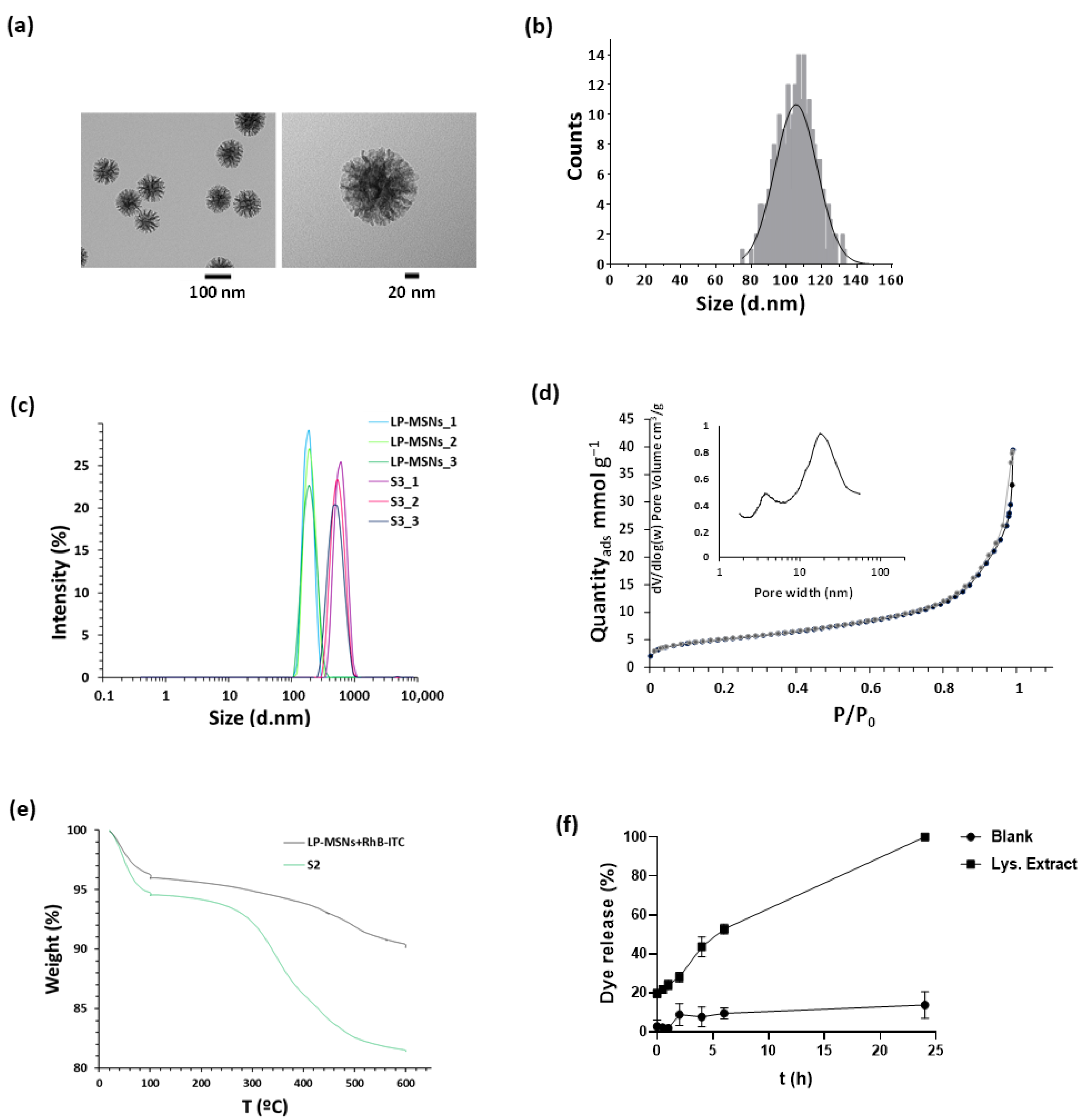 Ijms 24 02753 g001 Ijms 24 02753 g001