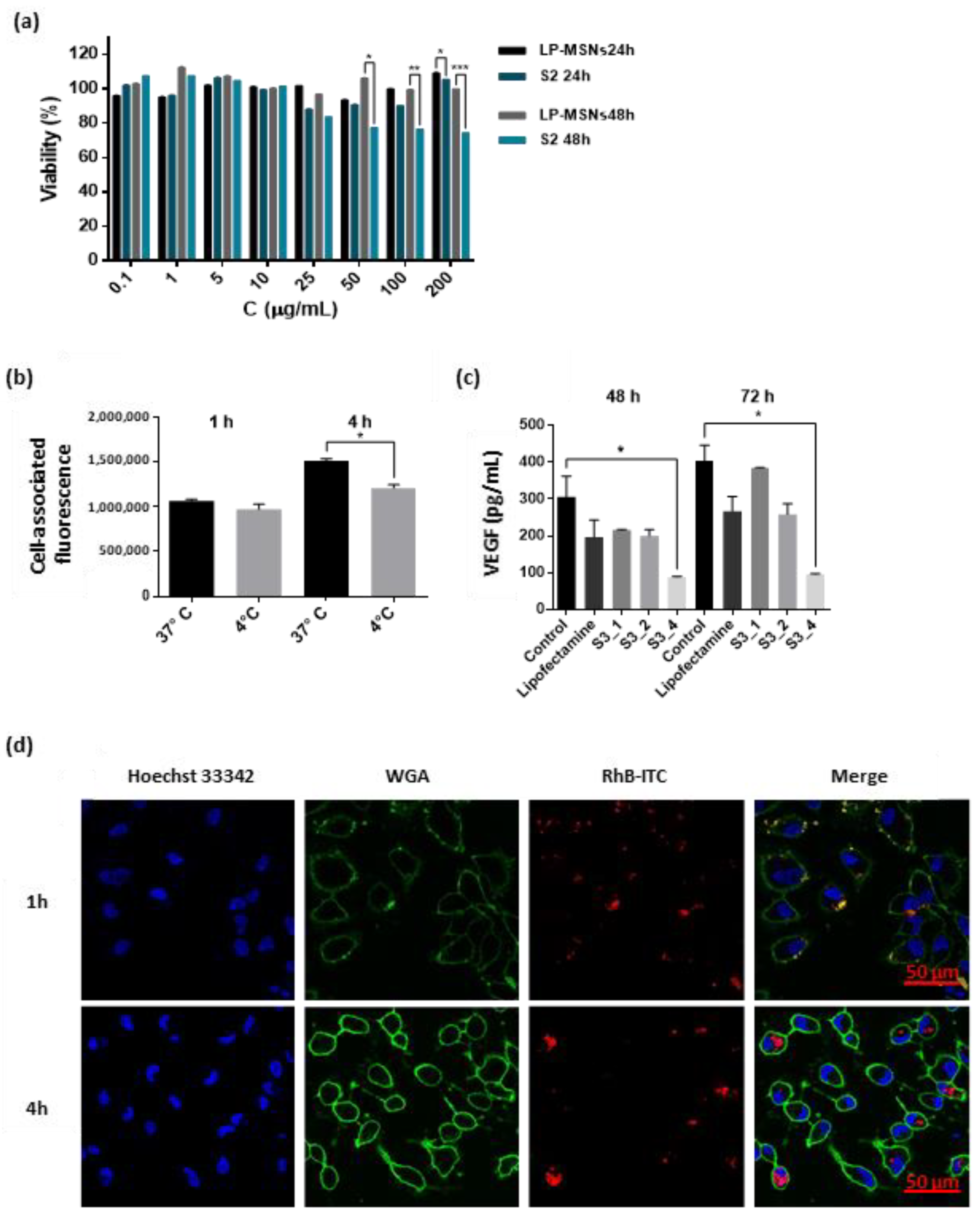 Ijms 24 02753 g002 Ijms 24 02753 g002