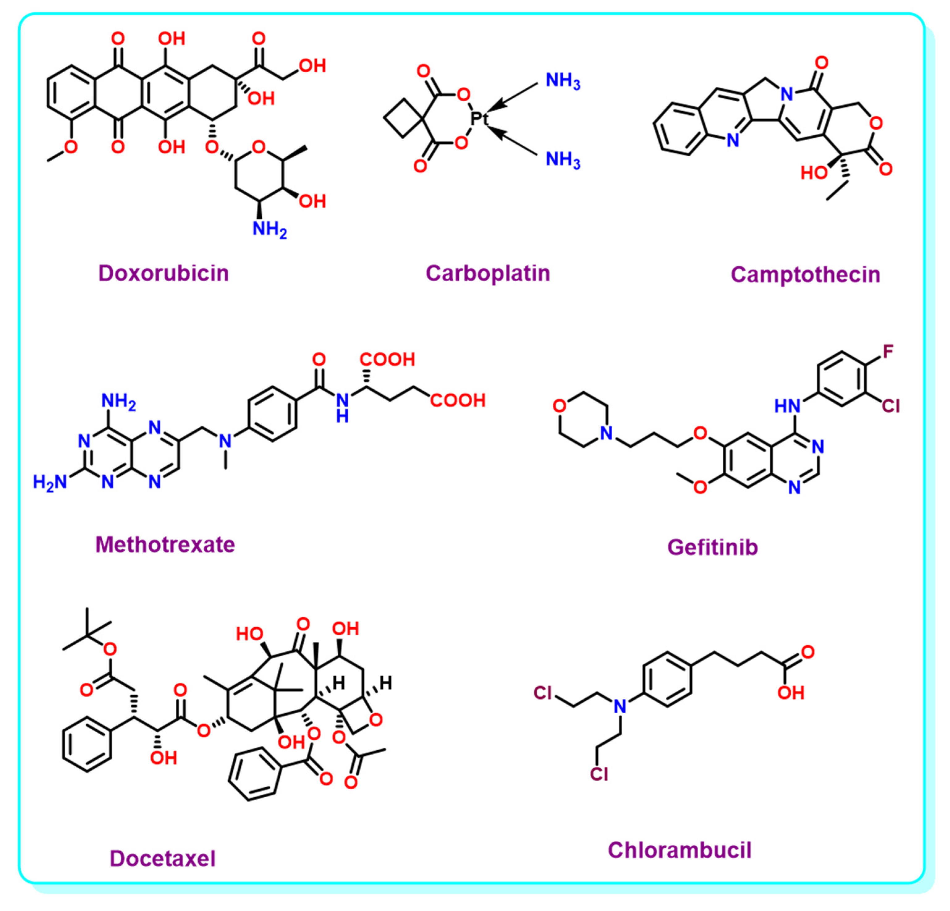 Ijms 24 02757 g003 Ijms 24 02757 g003