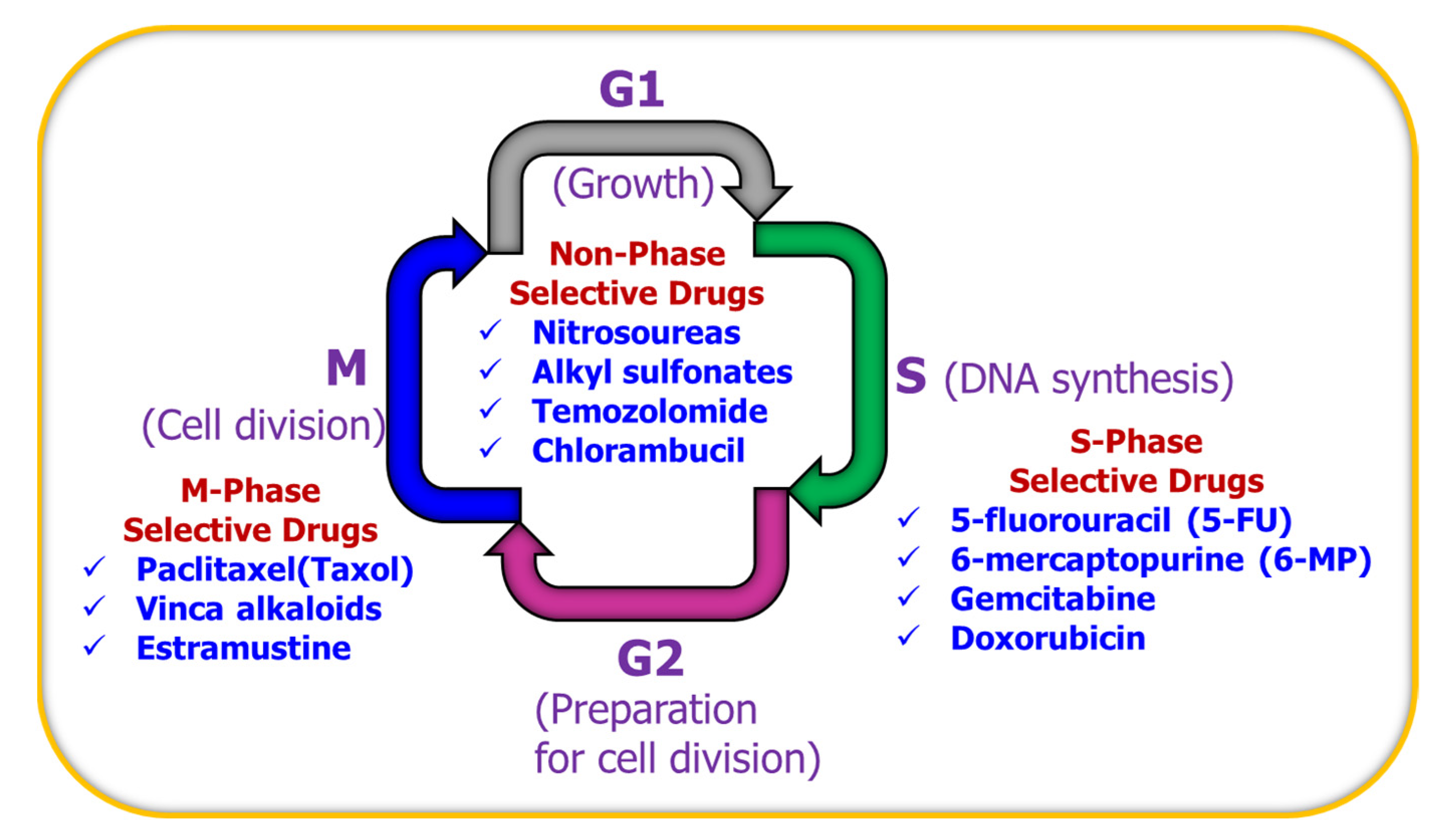Ijms 24 02757 g004 Ijms 24 02757 g004