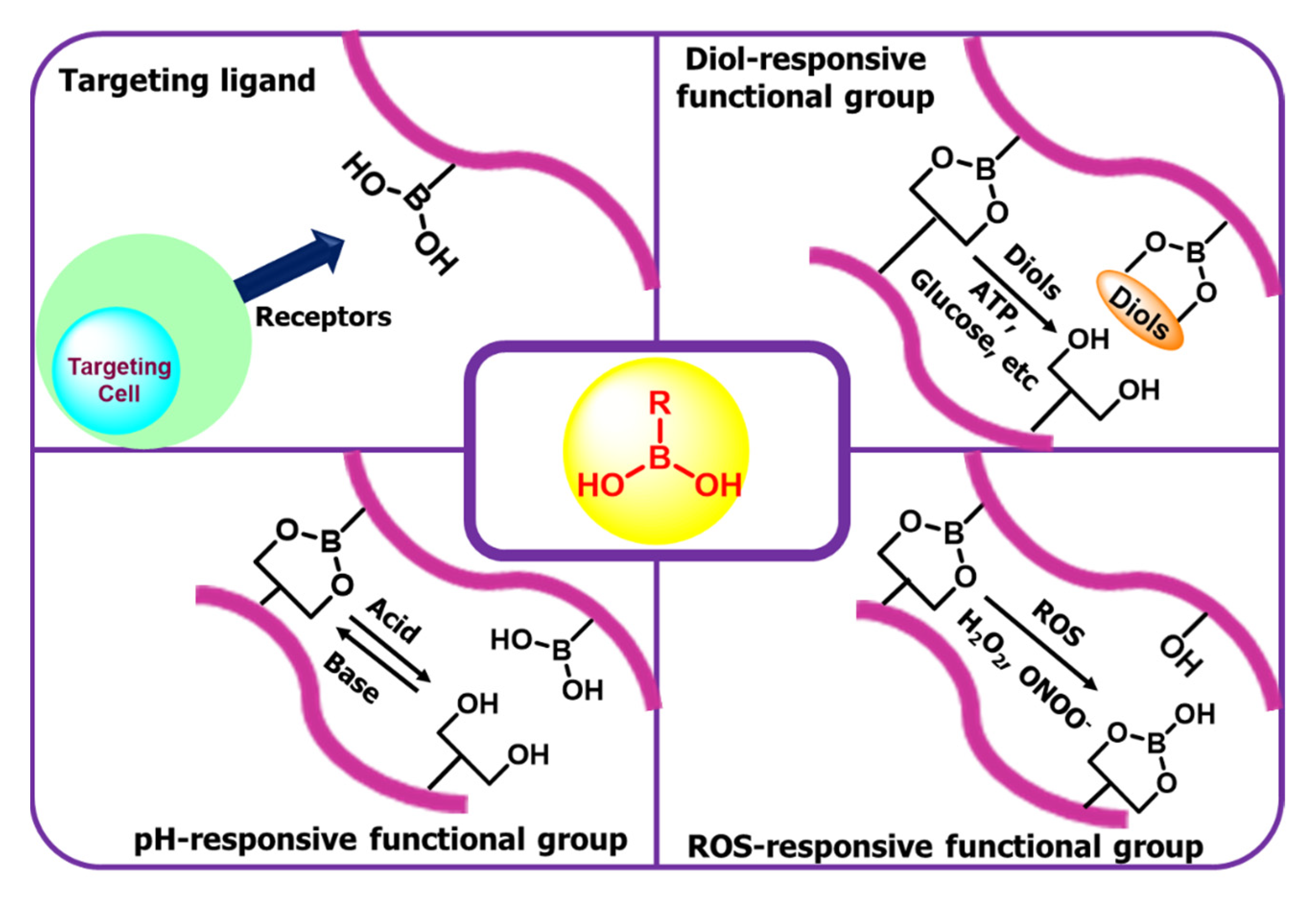 Ijms 24 02757 g005 Ijms 24 02757 g005