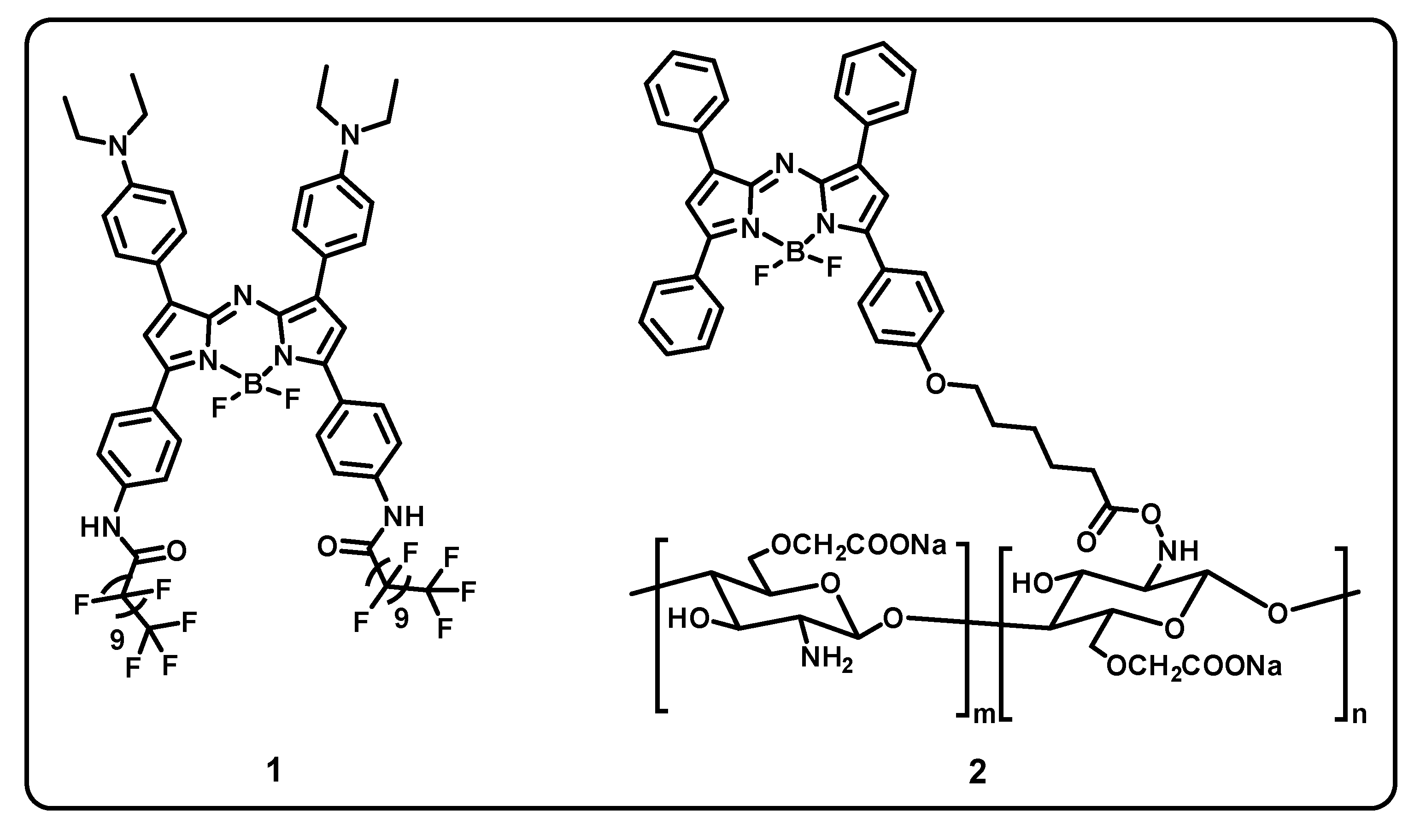 Ijms 24 02757 g007 Ijms 24 02757 g007