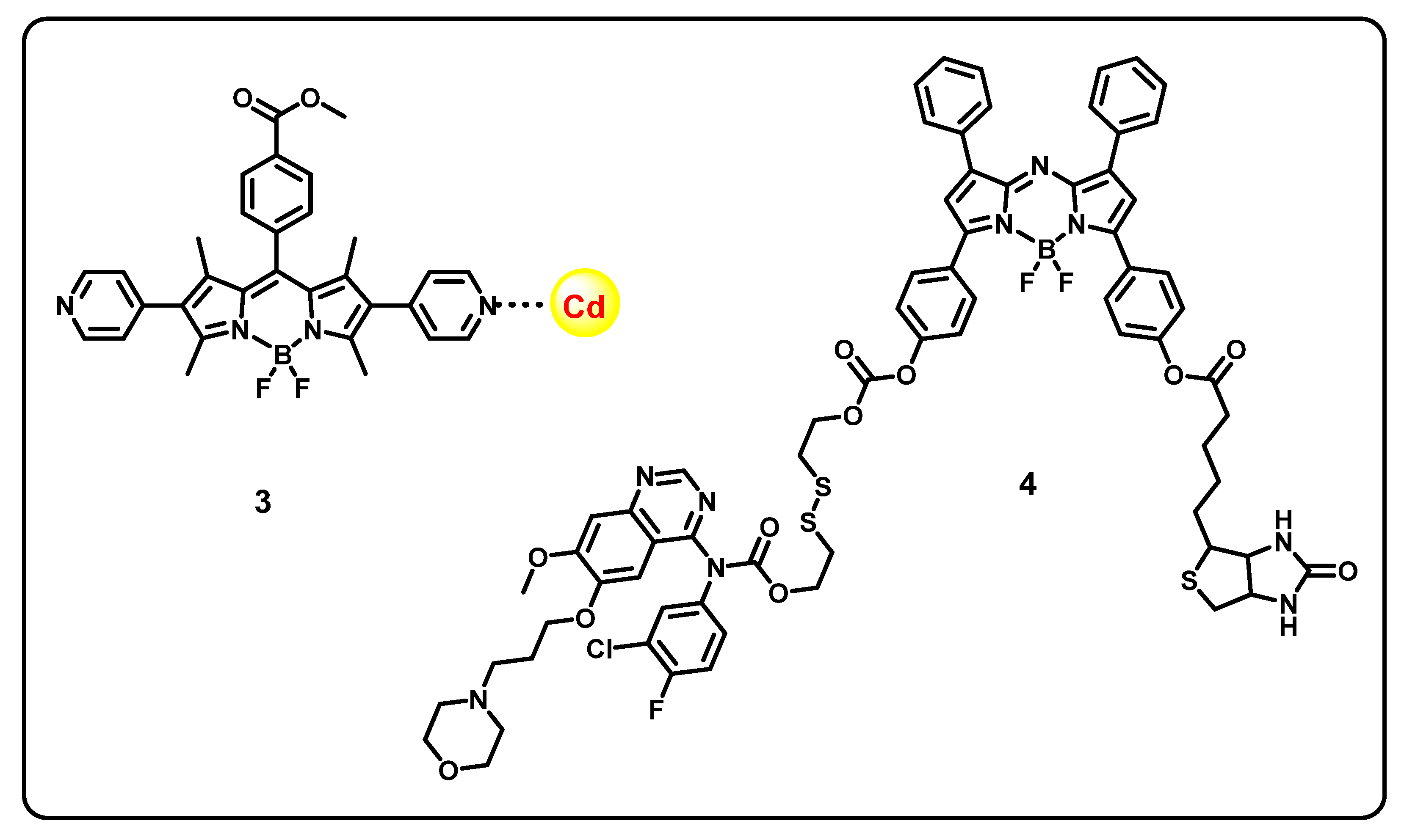 Ijms 24 02757 g008 Ijms 24 02757 g008