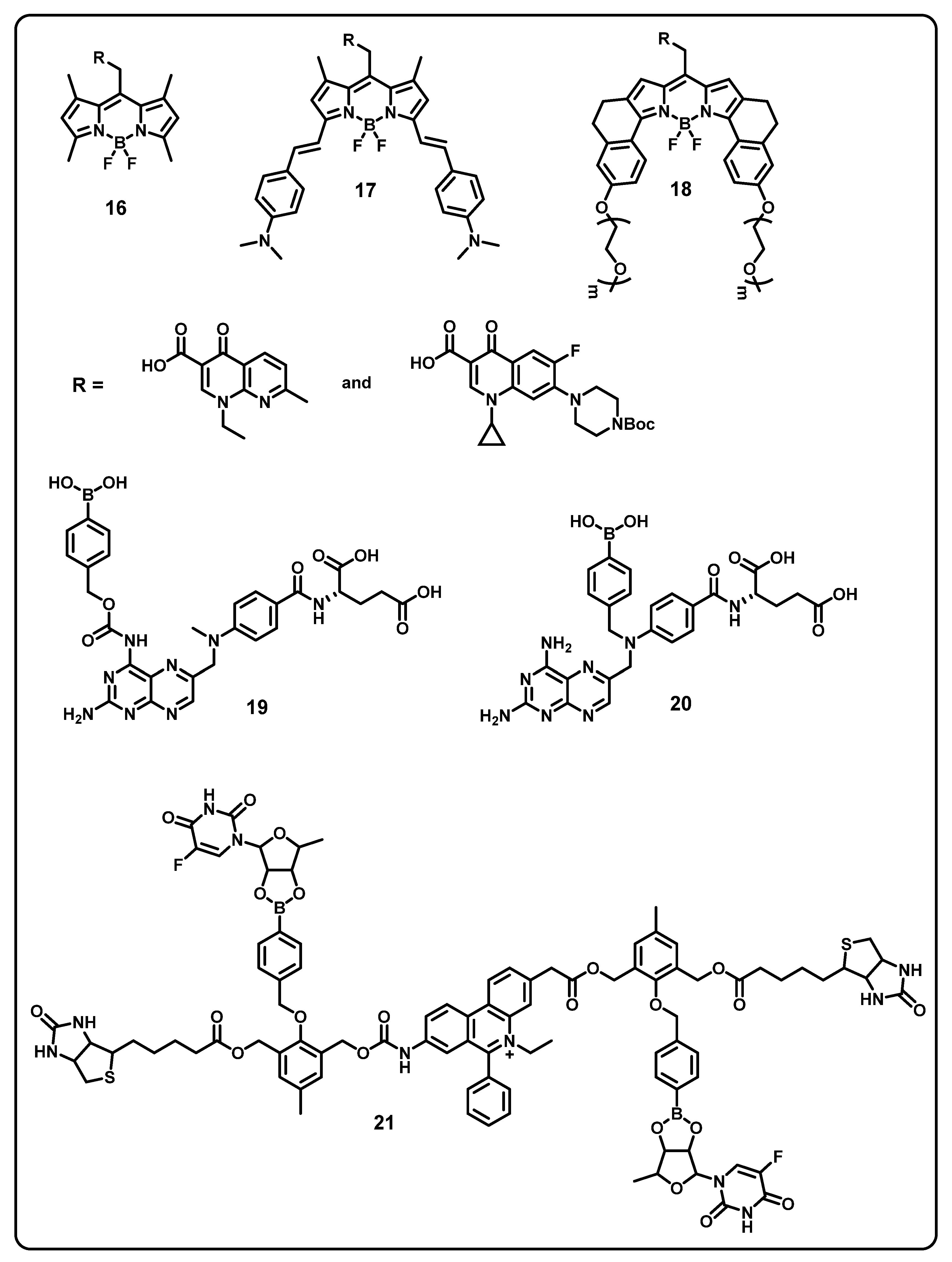 Ijms 24 02757 g012 Ijms 24 02757 g012