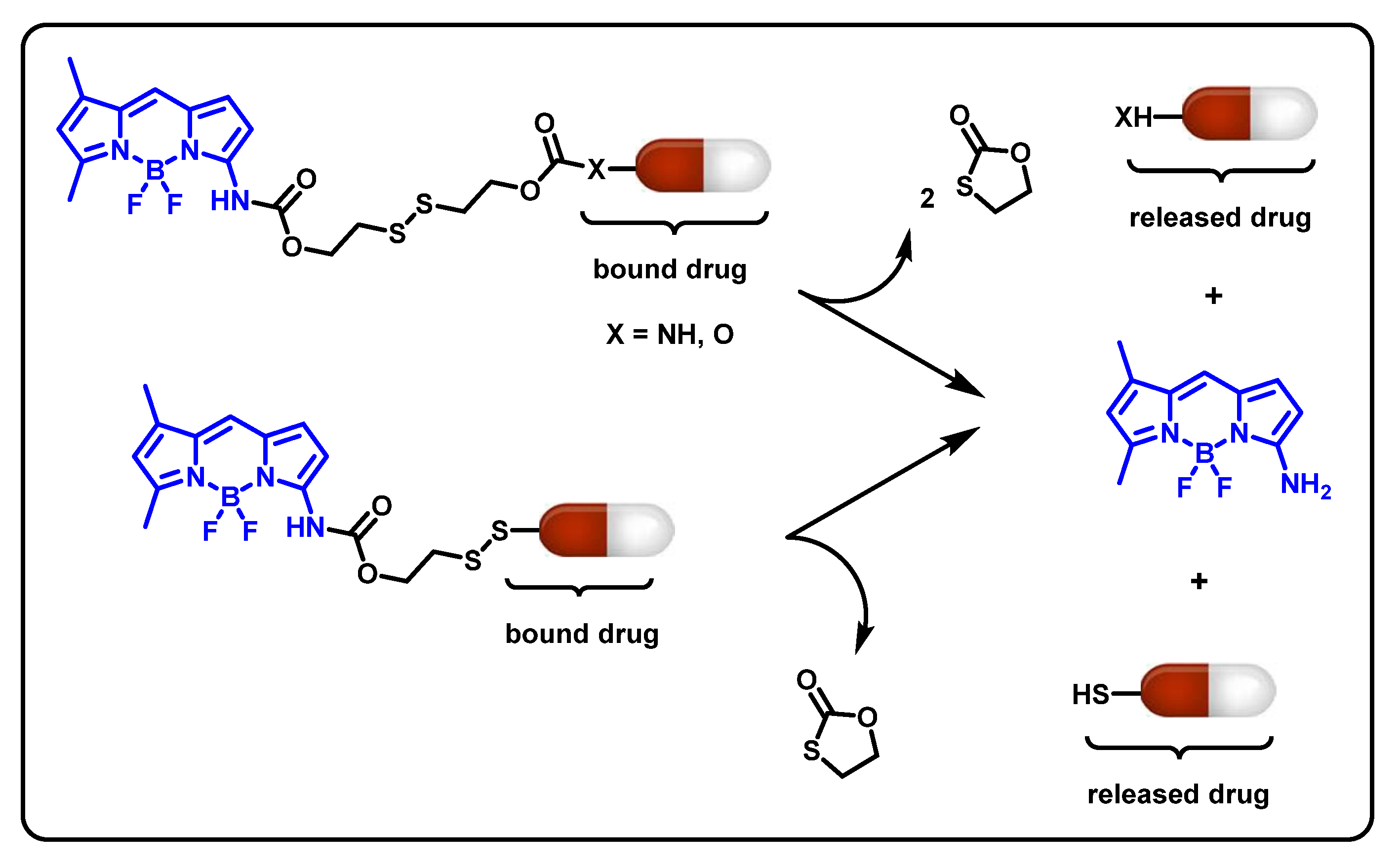 Ijms 24 02757 sch001 Ijms 24 02757 sch001
