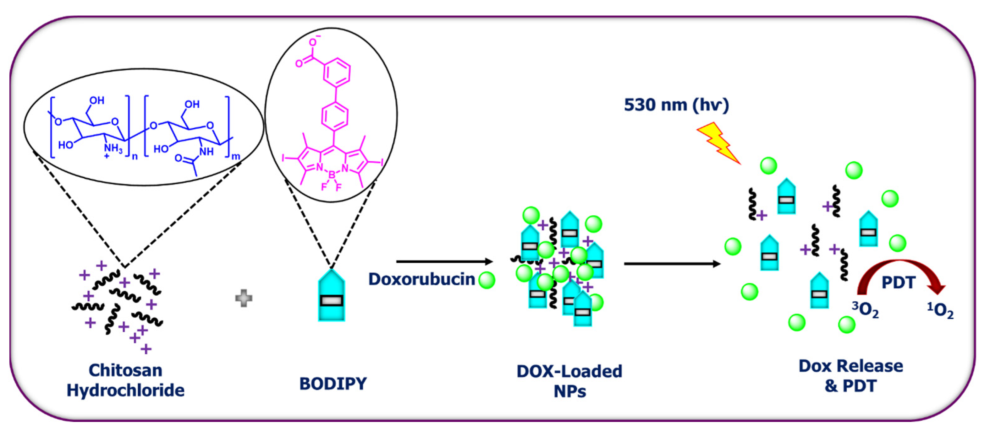 Ijms 24 02757 sch002 Ijms 24 02757 sch002