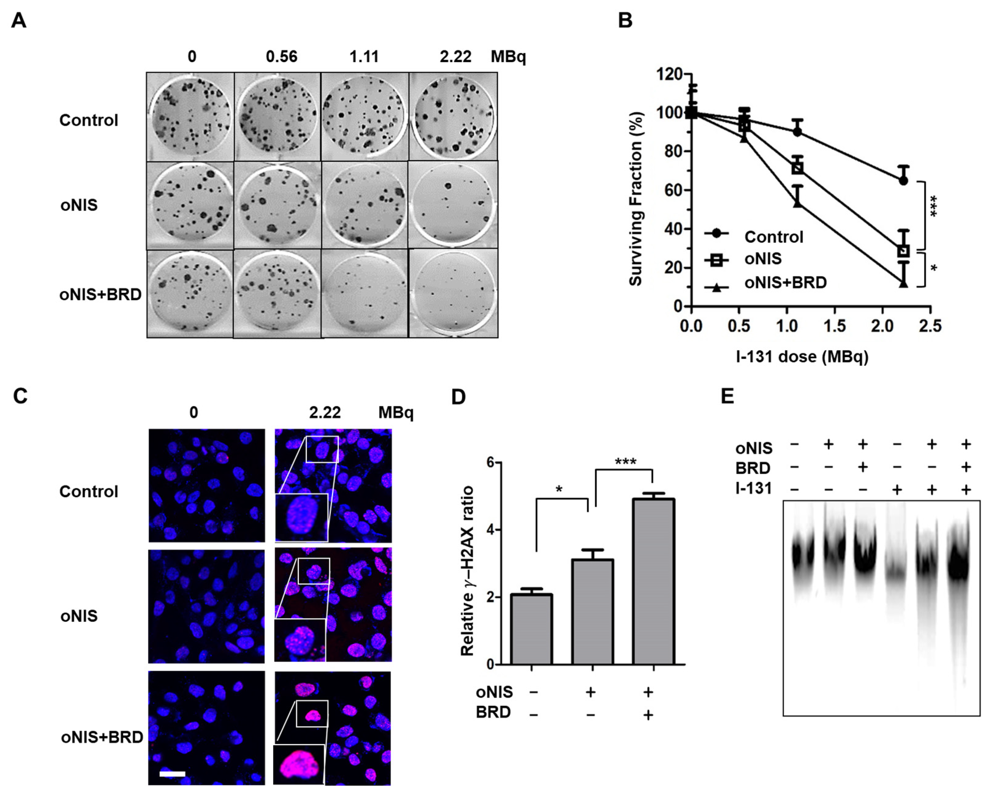 Ijms 24 02761 g002 Ijms 24 02761 g002