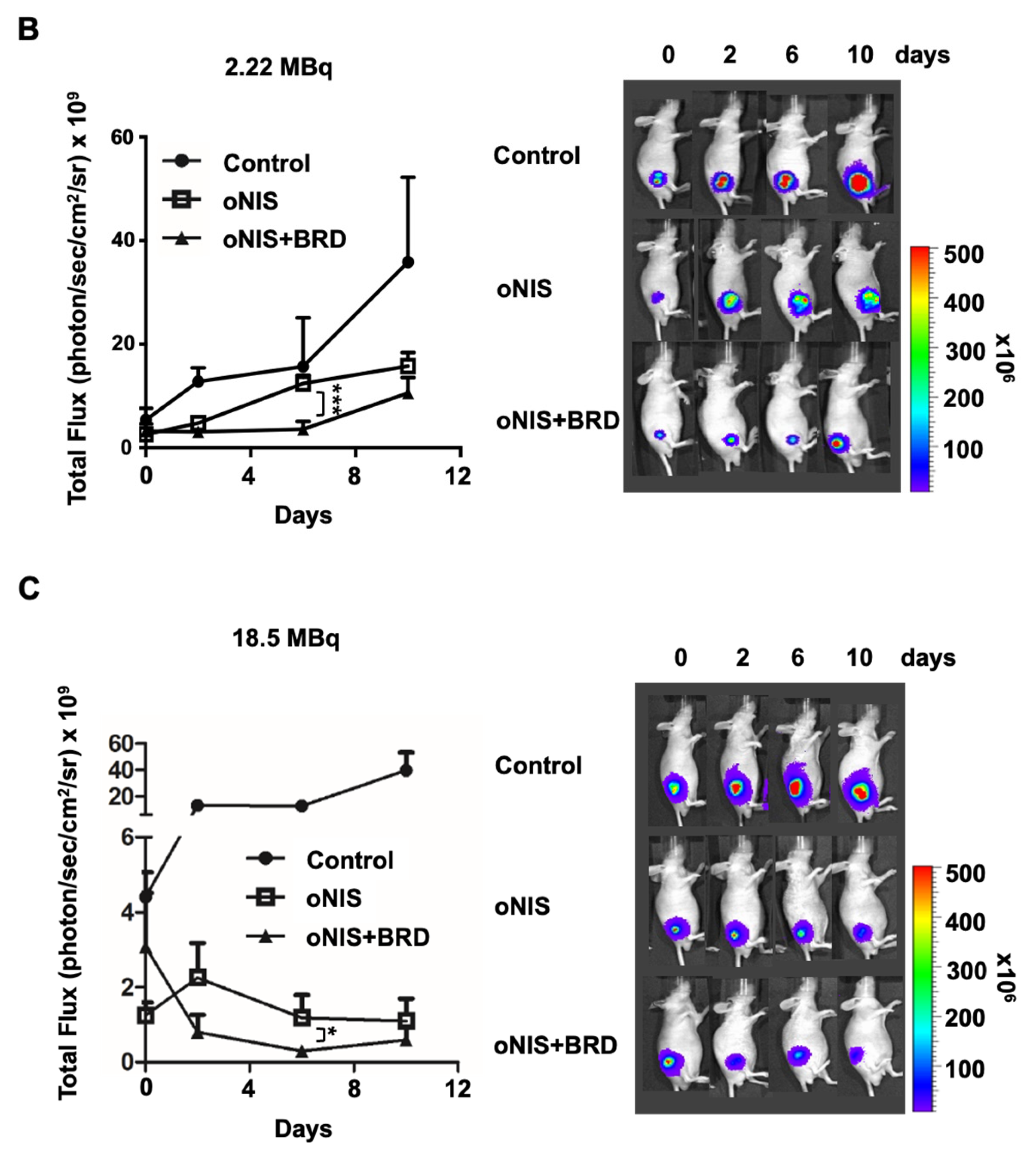 Ijms 24 02761 g003b Ijms 24 02761 g003b
