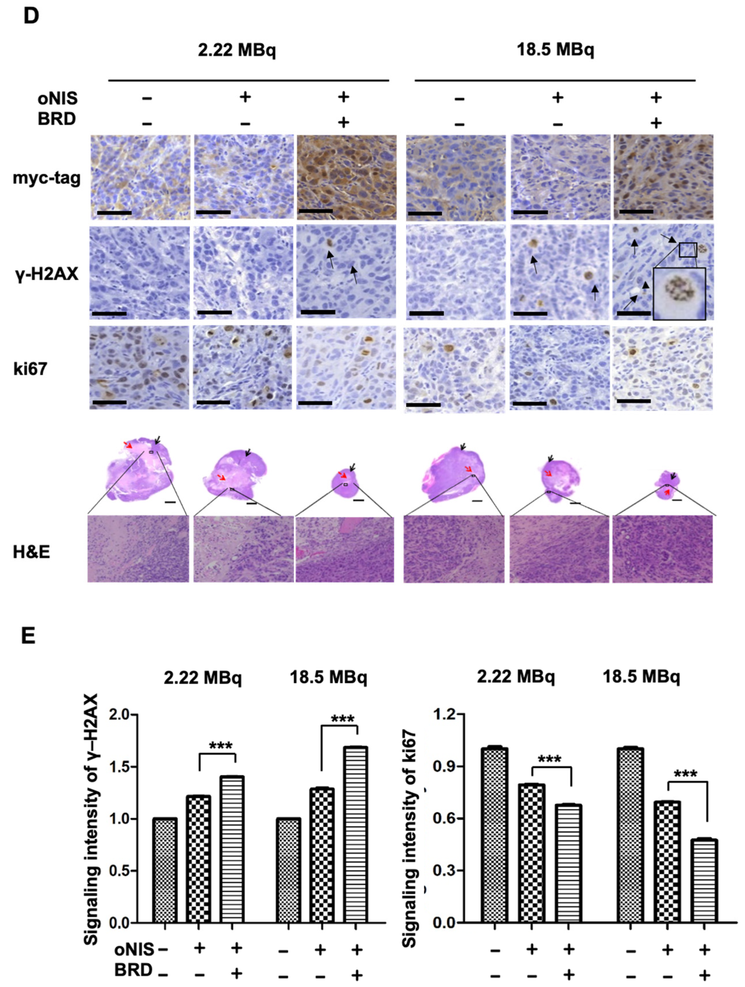 Ijms 24 02761 g003c Ijms 24 02761 g003c