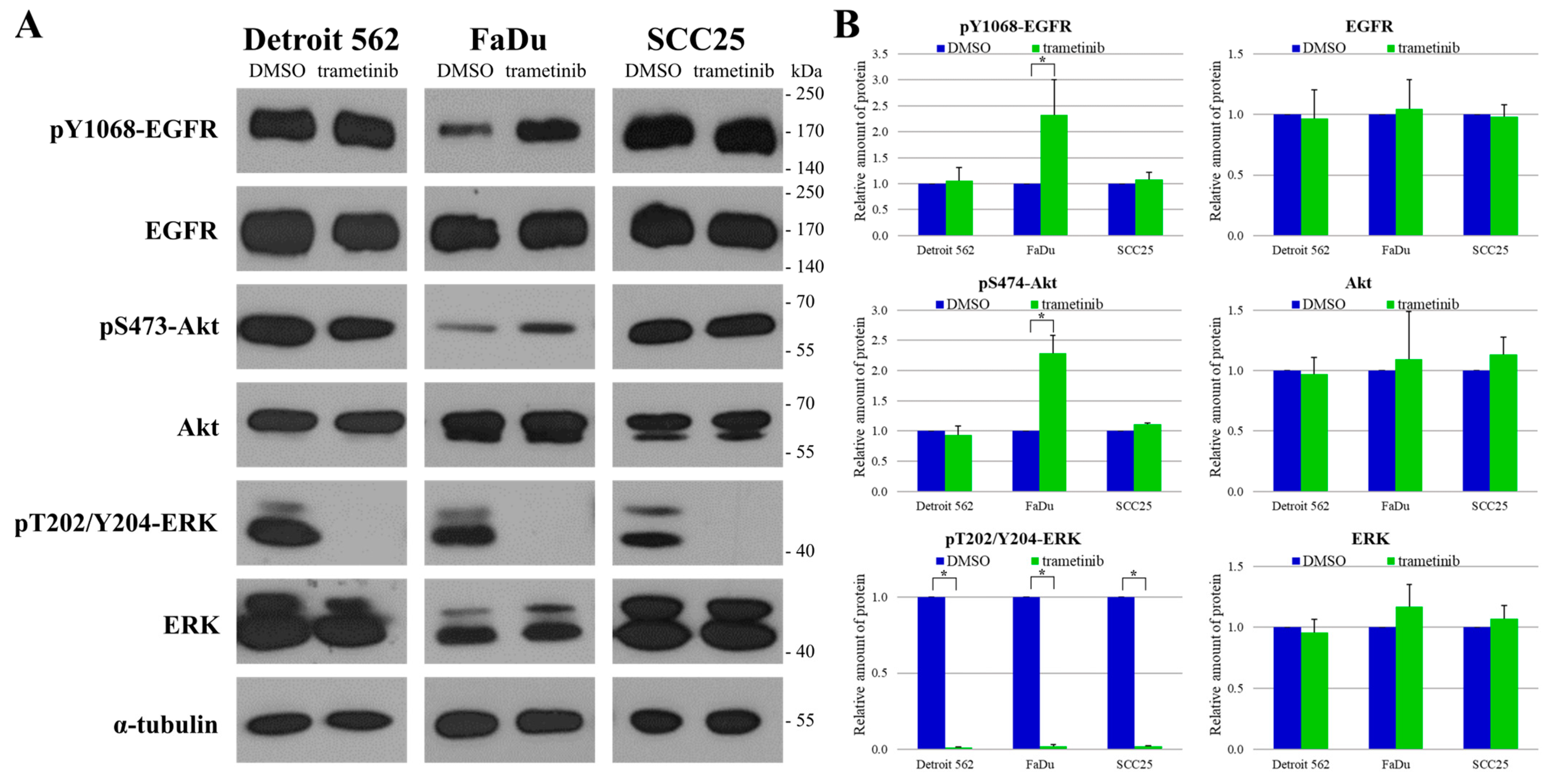 Ijms 24 02782 g007 Ijms 24 02782 g007