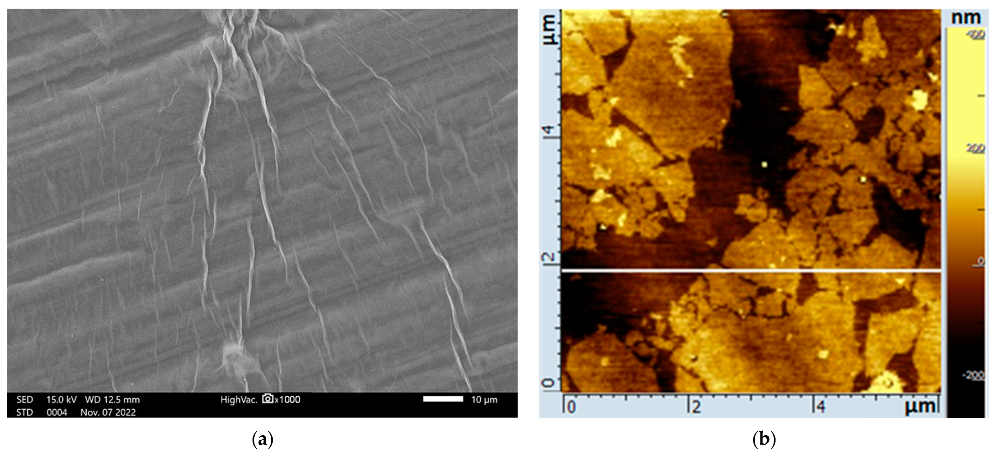 Ijms 24 02783 g002a Ijms 24 02783 g002a