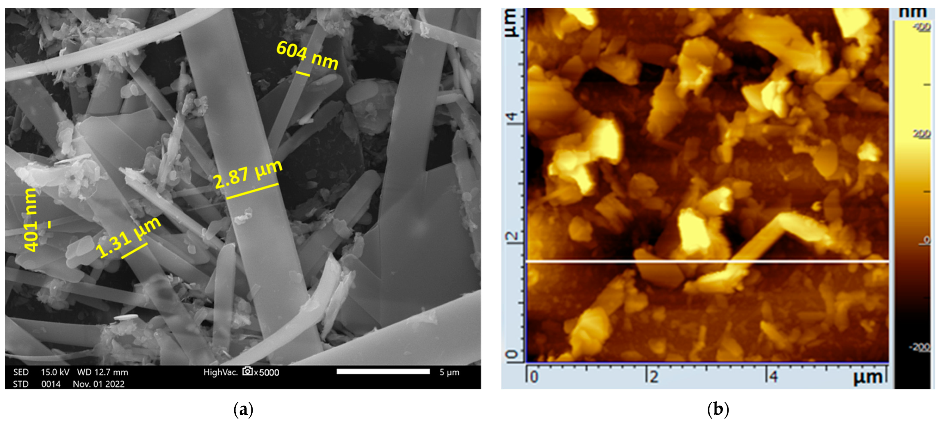 Ijms 24 02783 g003a Ijms 24 02783 g003a