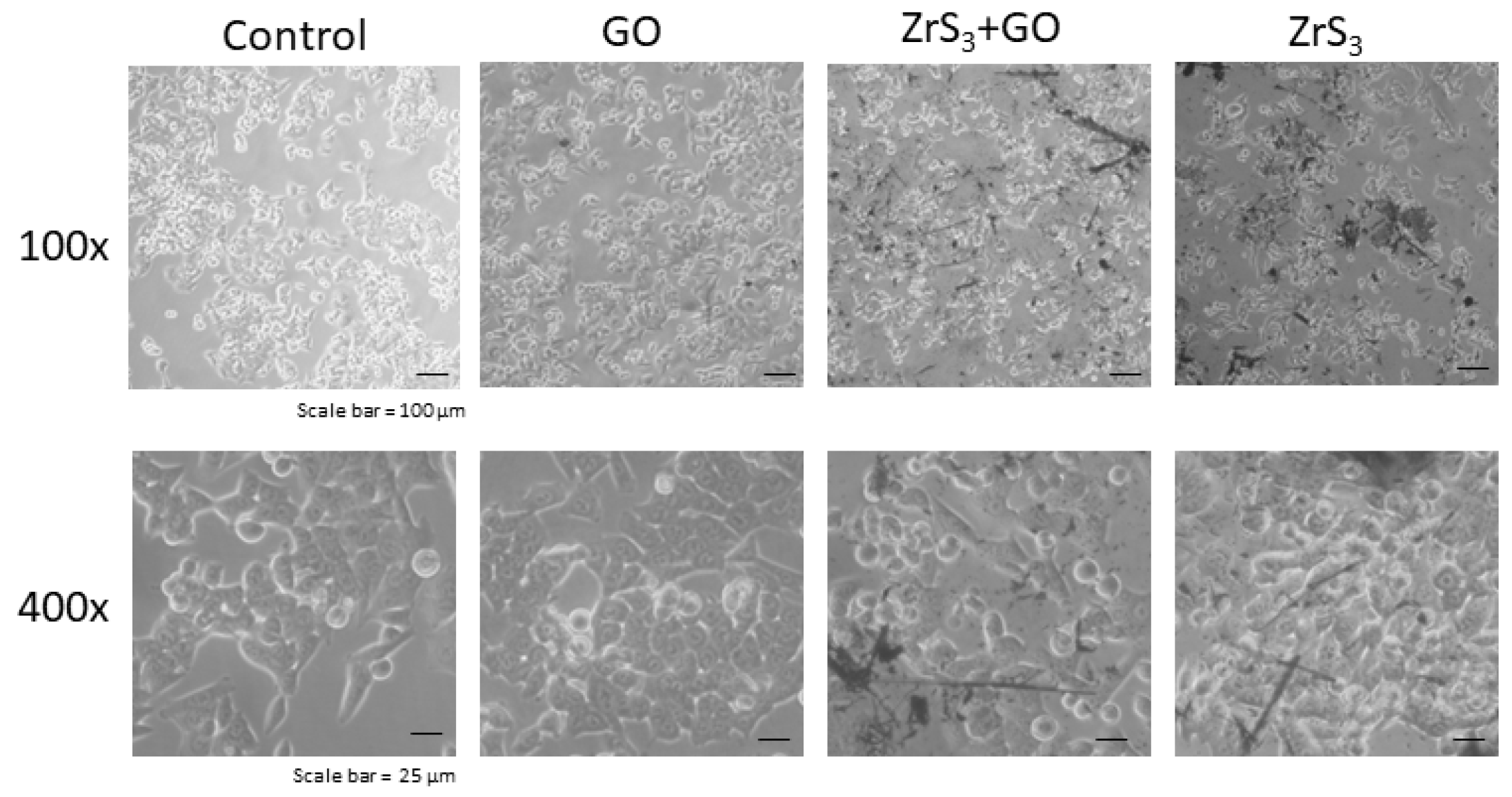 Ijms 24 02783 g005 Ijms 24 02783 g005