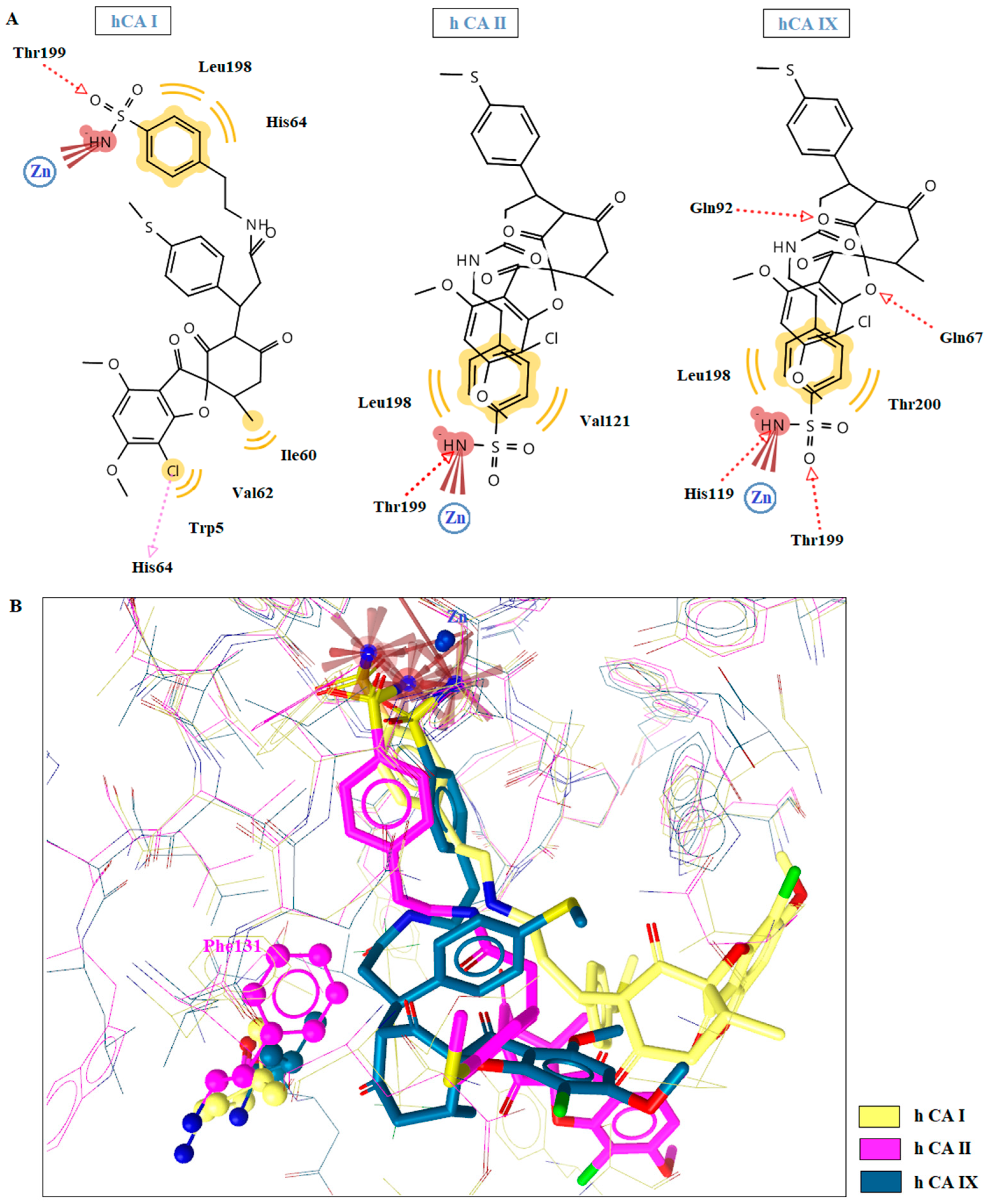 Ijms 24 02802 g003 Ijms 24 02802 g003