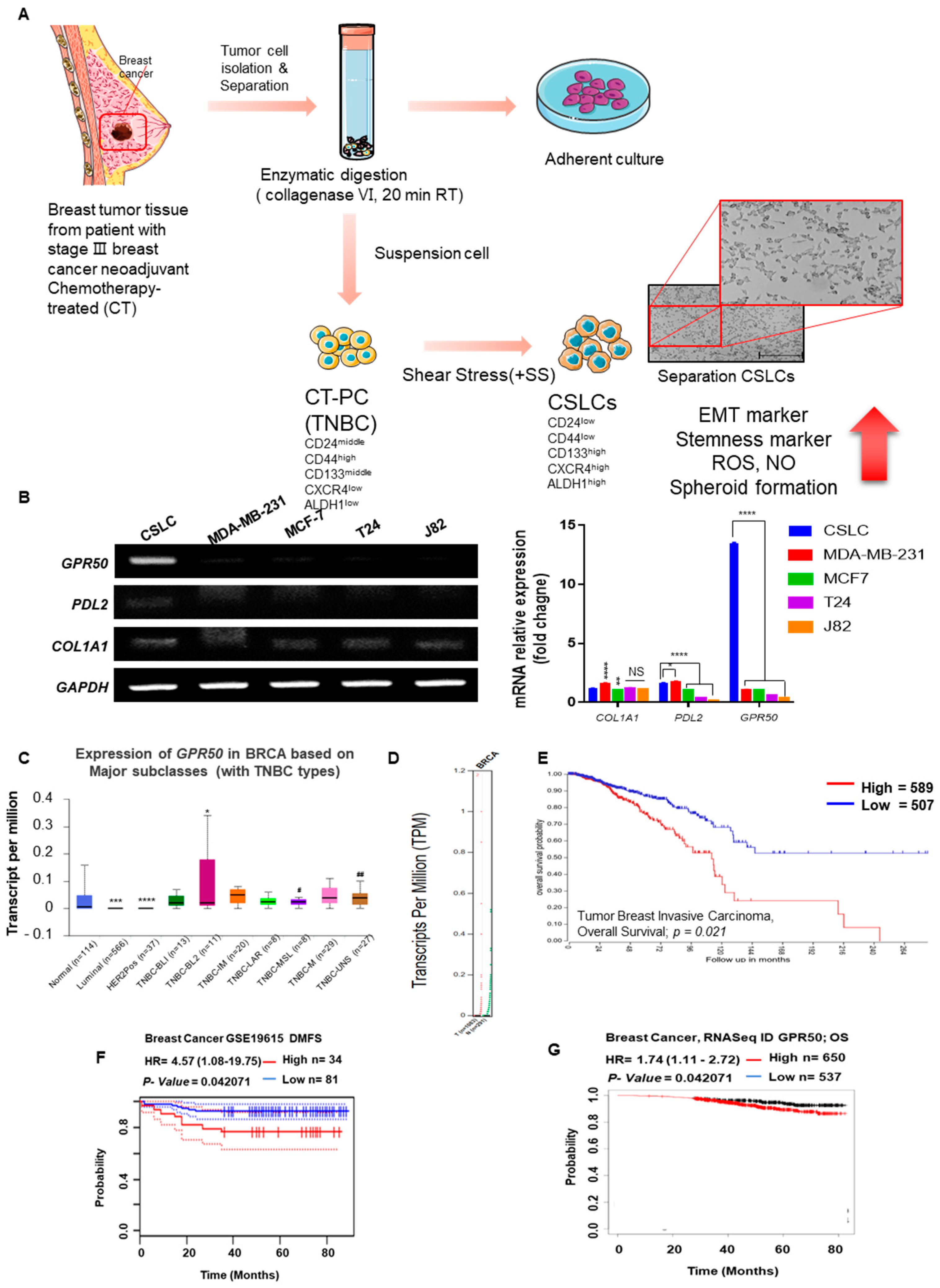 Ijms 24 02804 g001 Ijms 24 02804 g001
