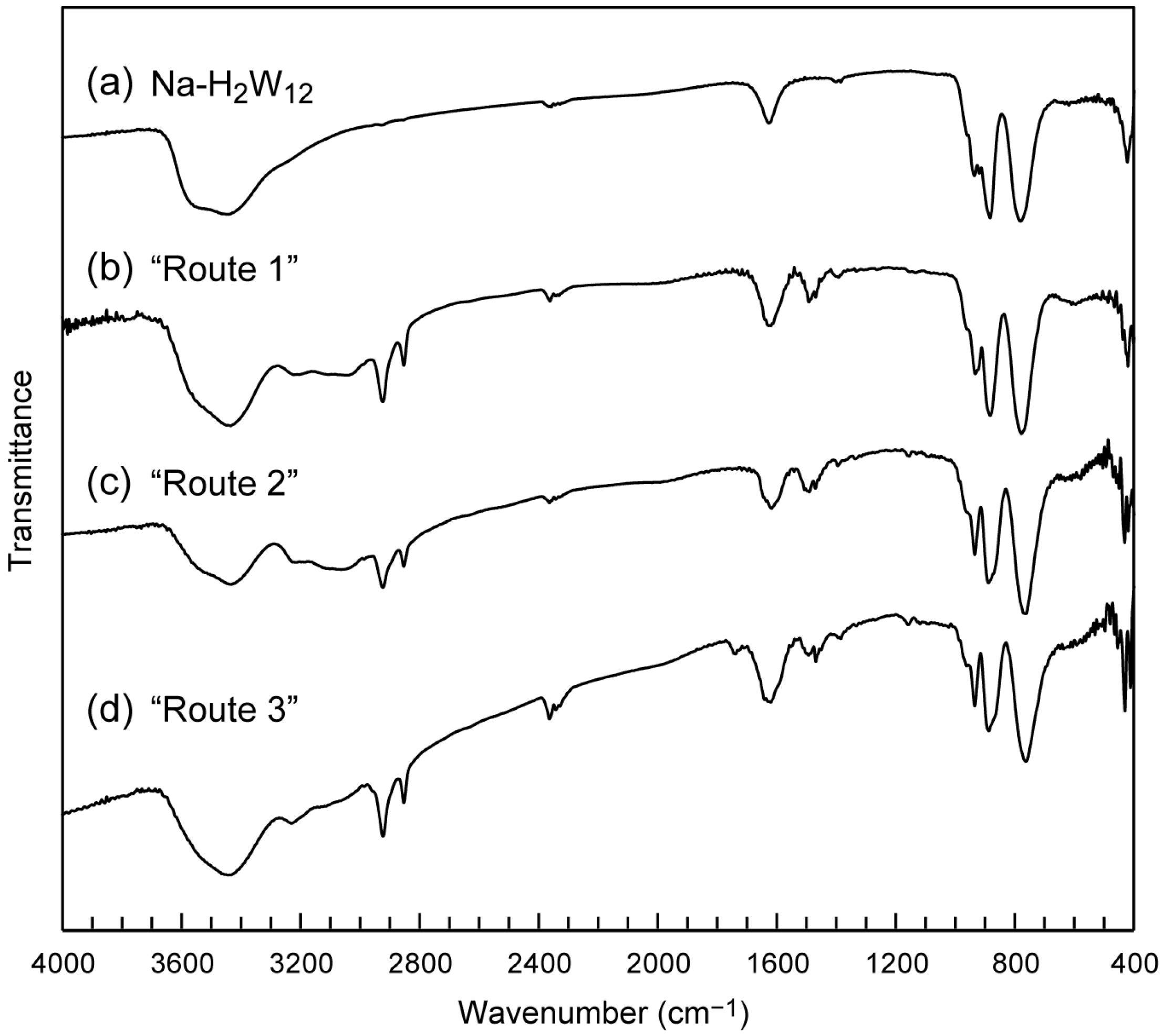 Ijms 24 02824 g002 Ijms 24 02824 g002