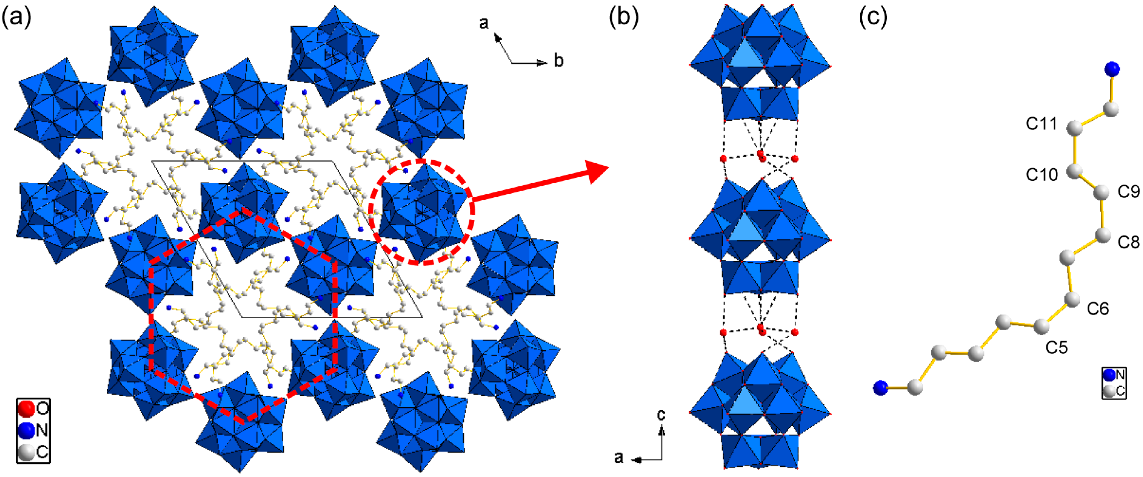 Ijms 24 02824 g004 Ijms 24 02824 g004