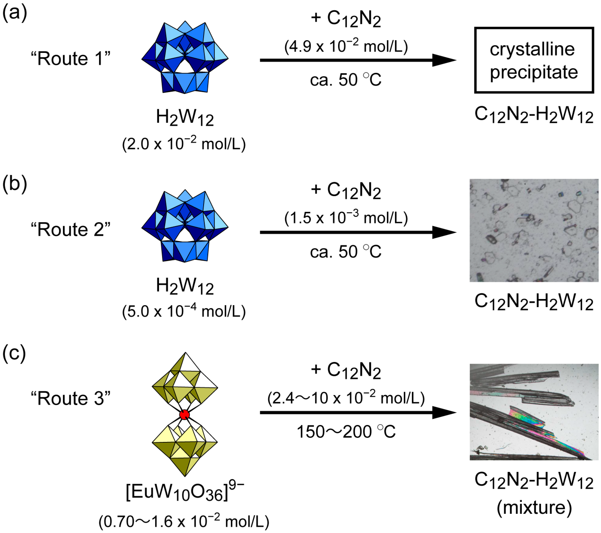 Ijms 24 02824 sch001 Ijms 24 02824 sch001