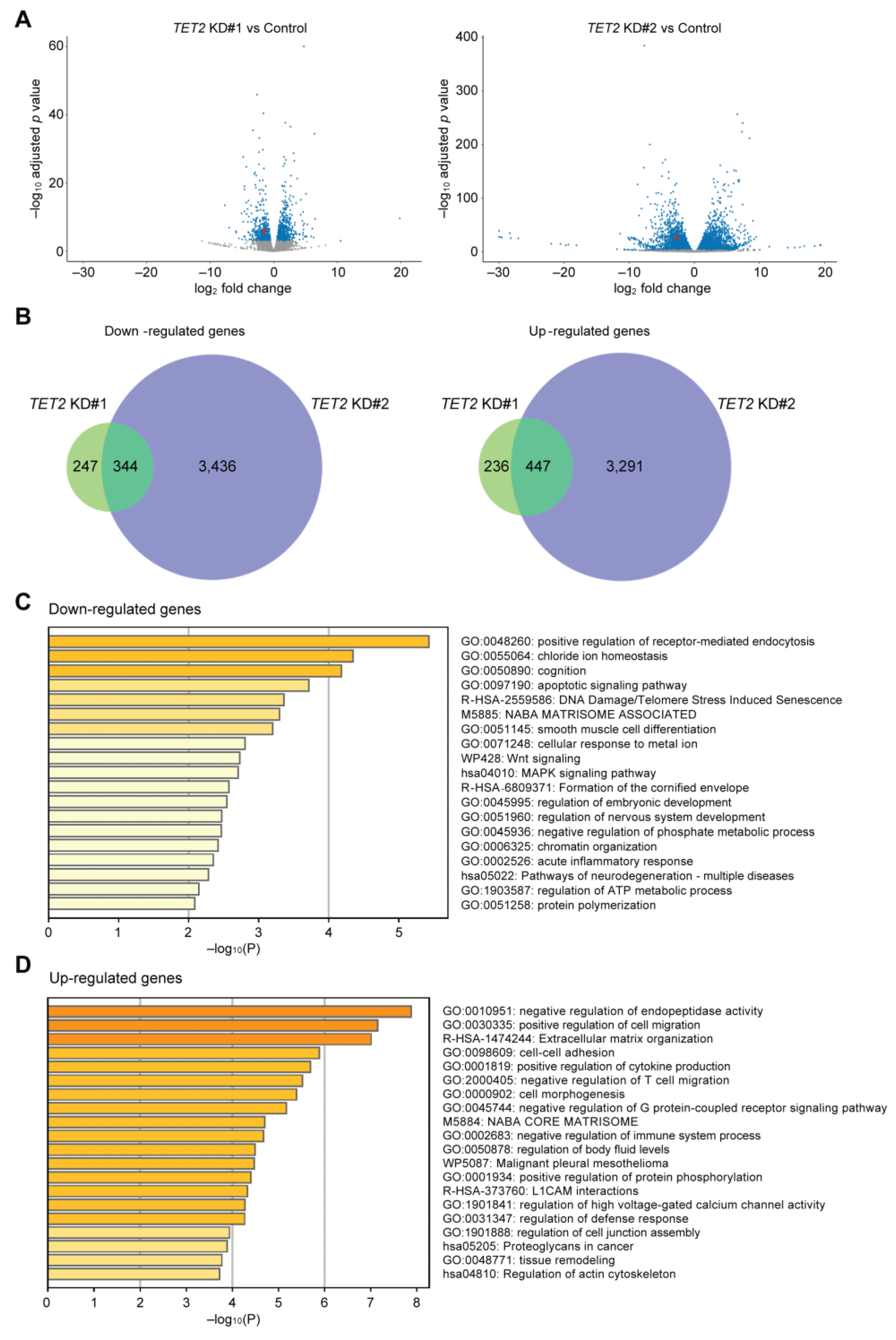 Ijms 24 02841 g003 Ijms 24 02841 g003