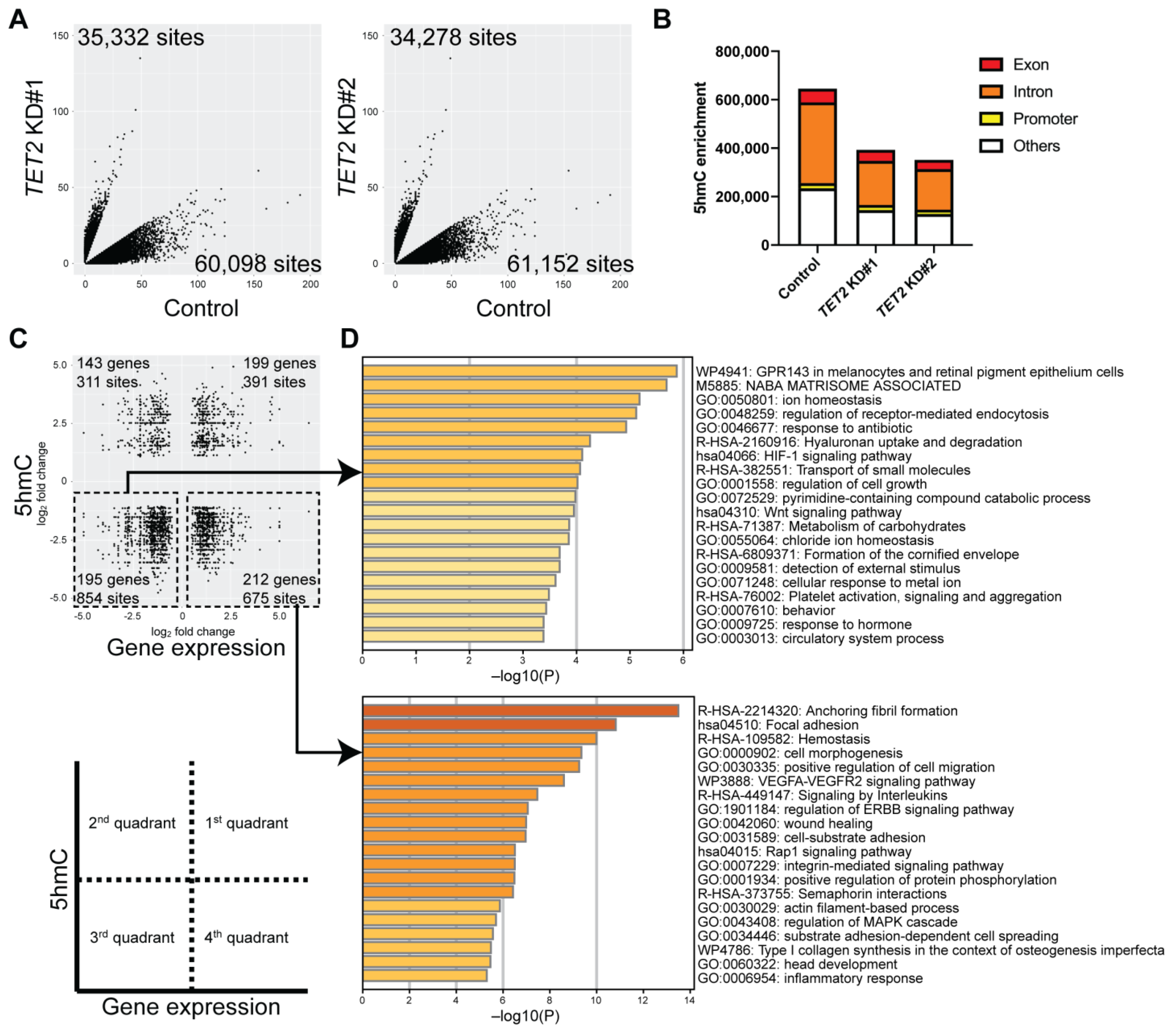 Ijms 24 02841 g004 Ijms 24 02841 g004