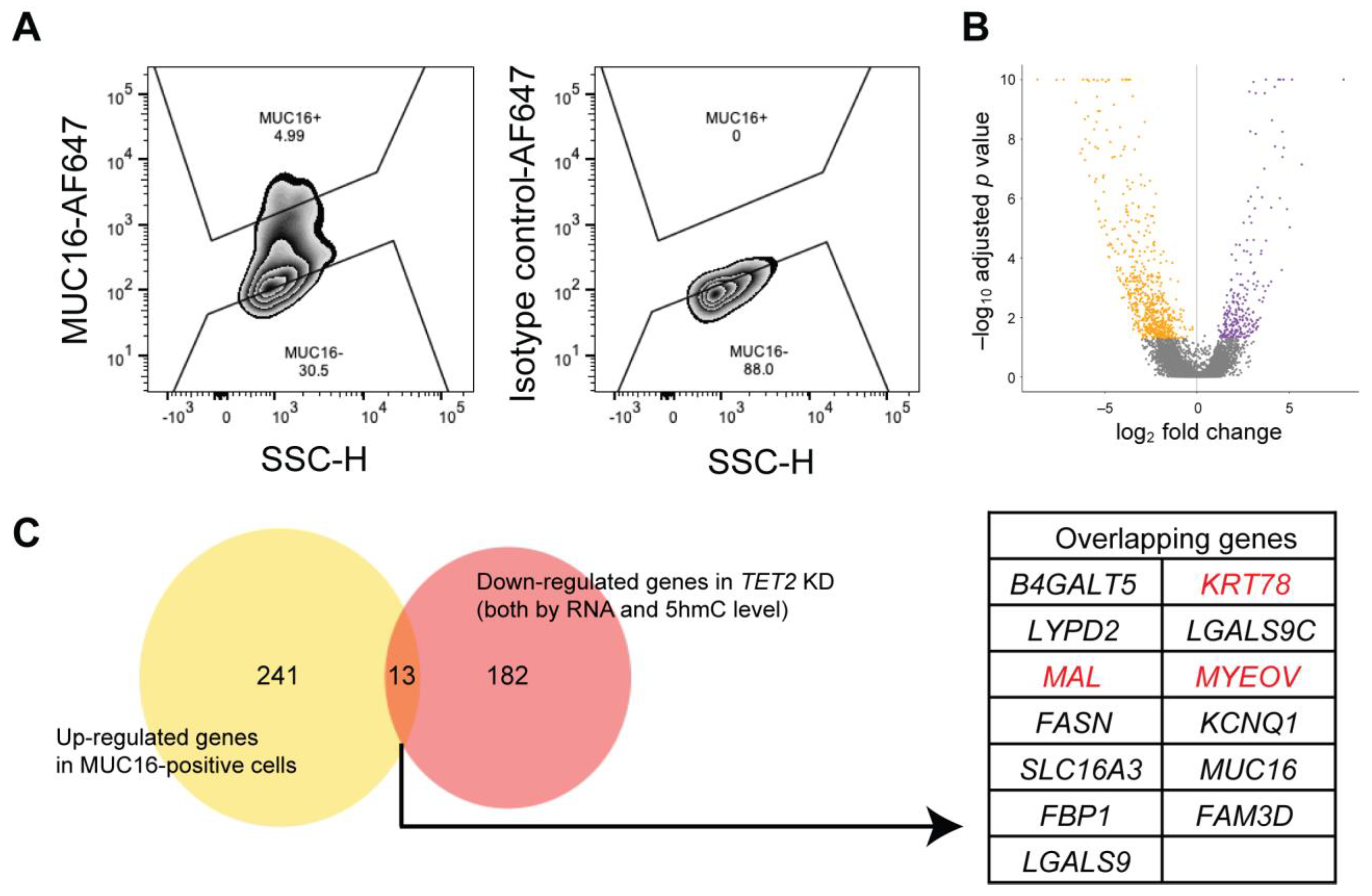 Ijms 24 02841 g005 Ijms 24 02841 g005