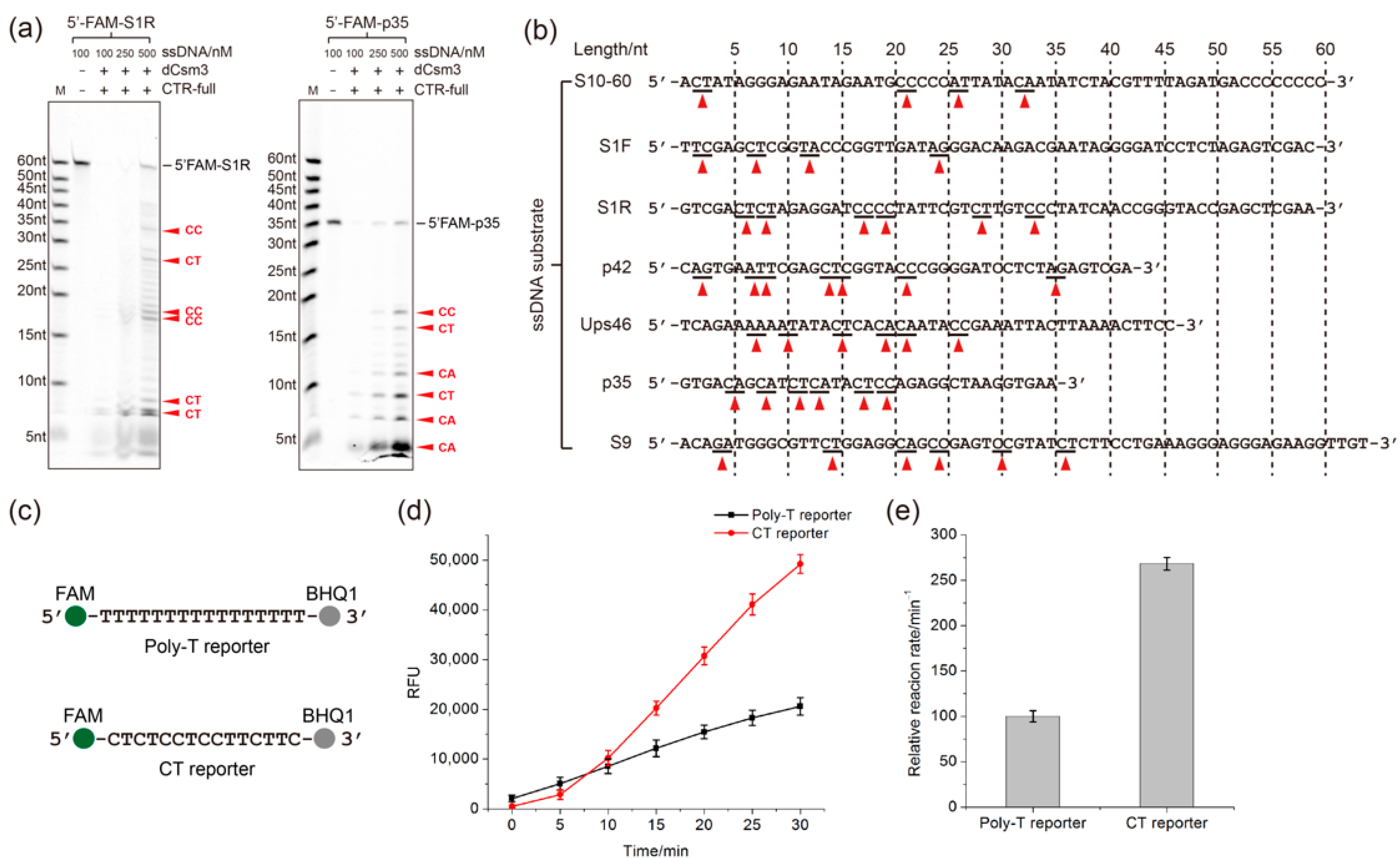 Ijms 24 02857 g003 Ijms 24 02857 g003